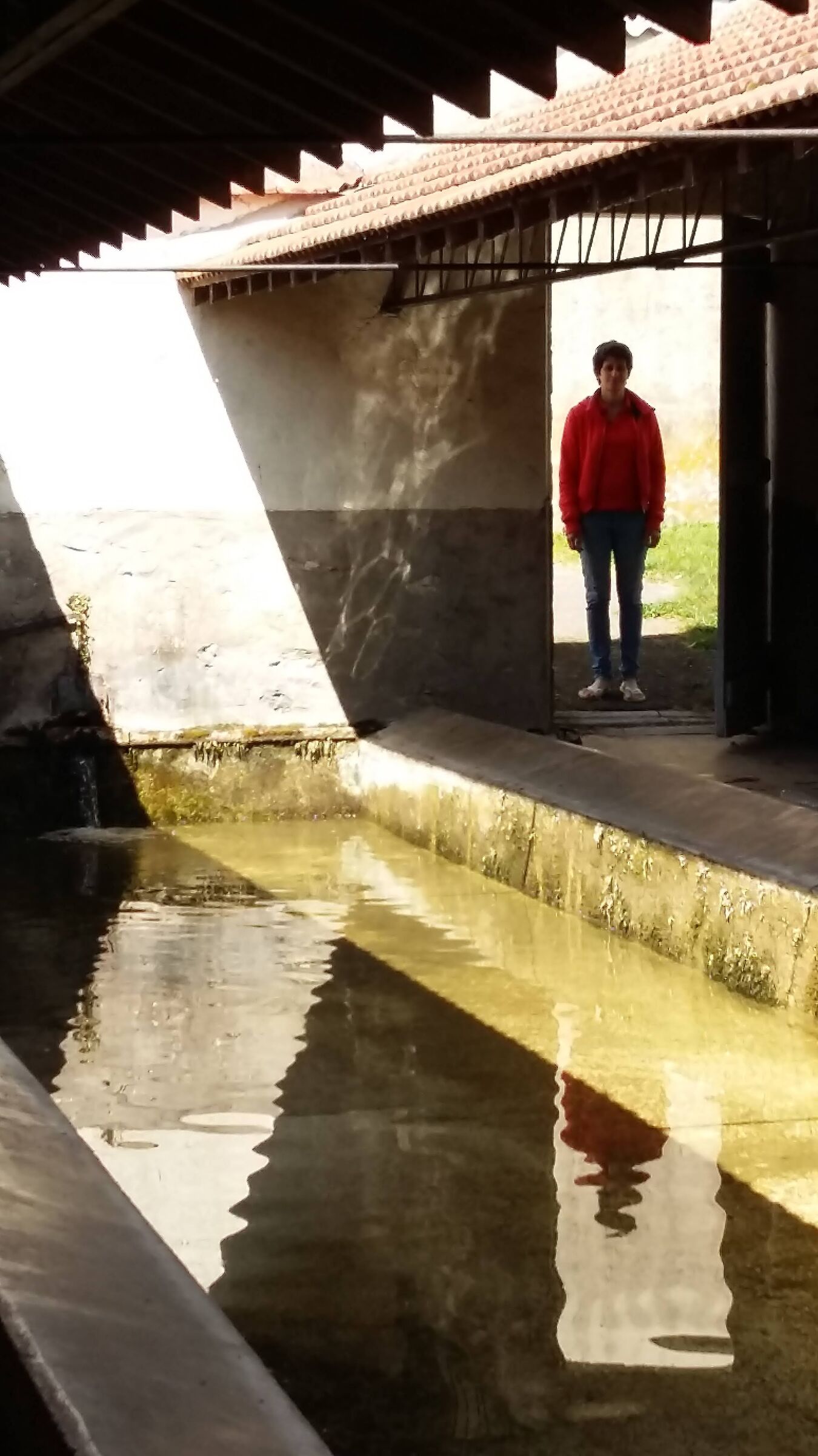 All improvviso ...Tu