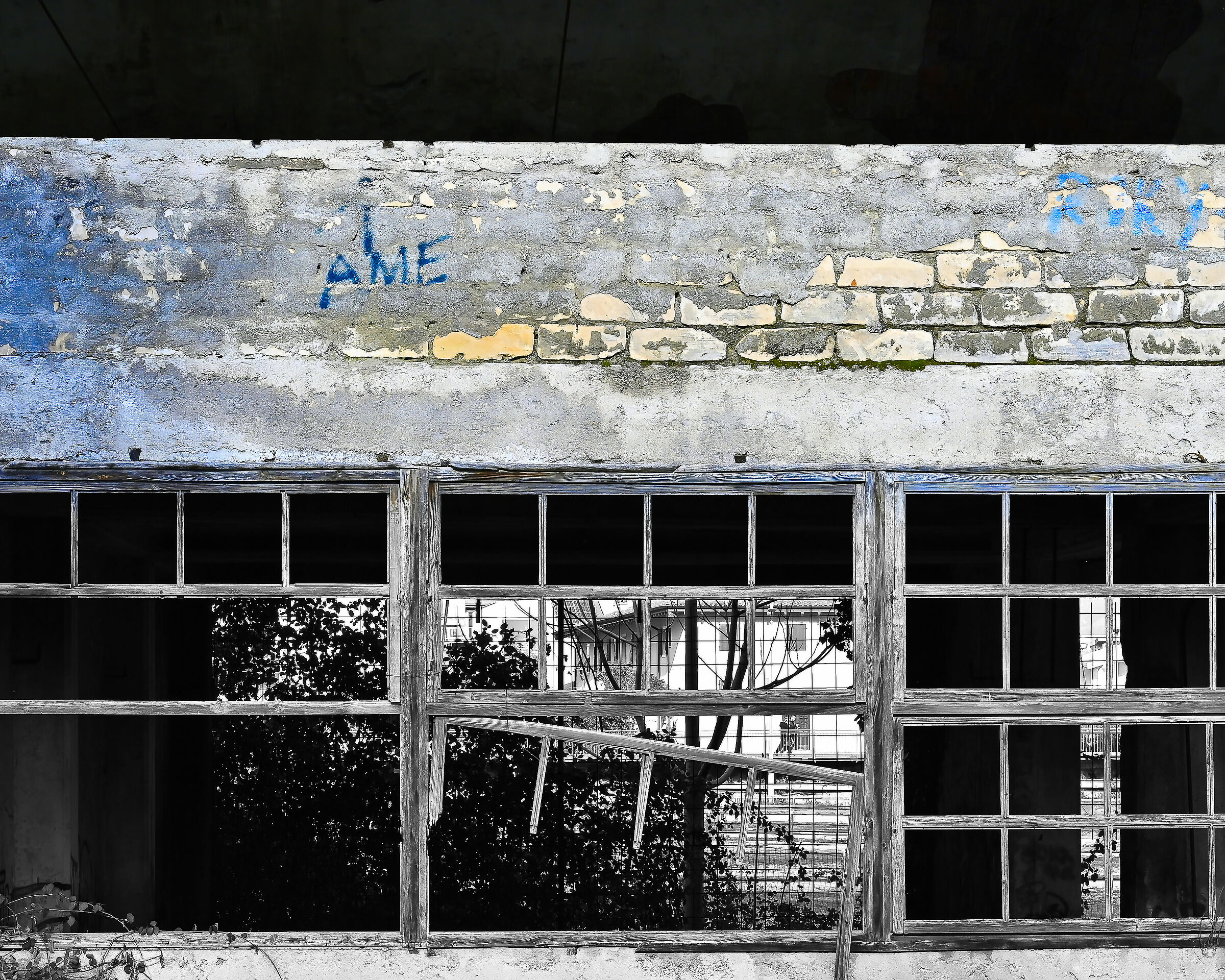 Untitled Photo