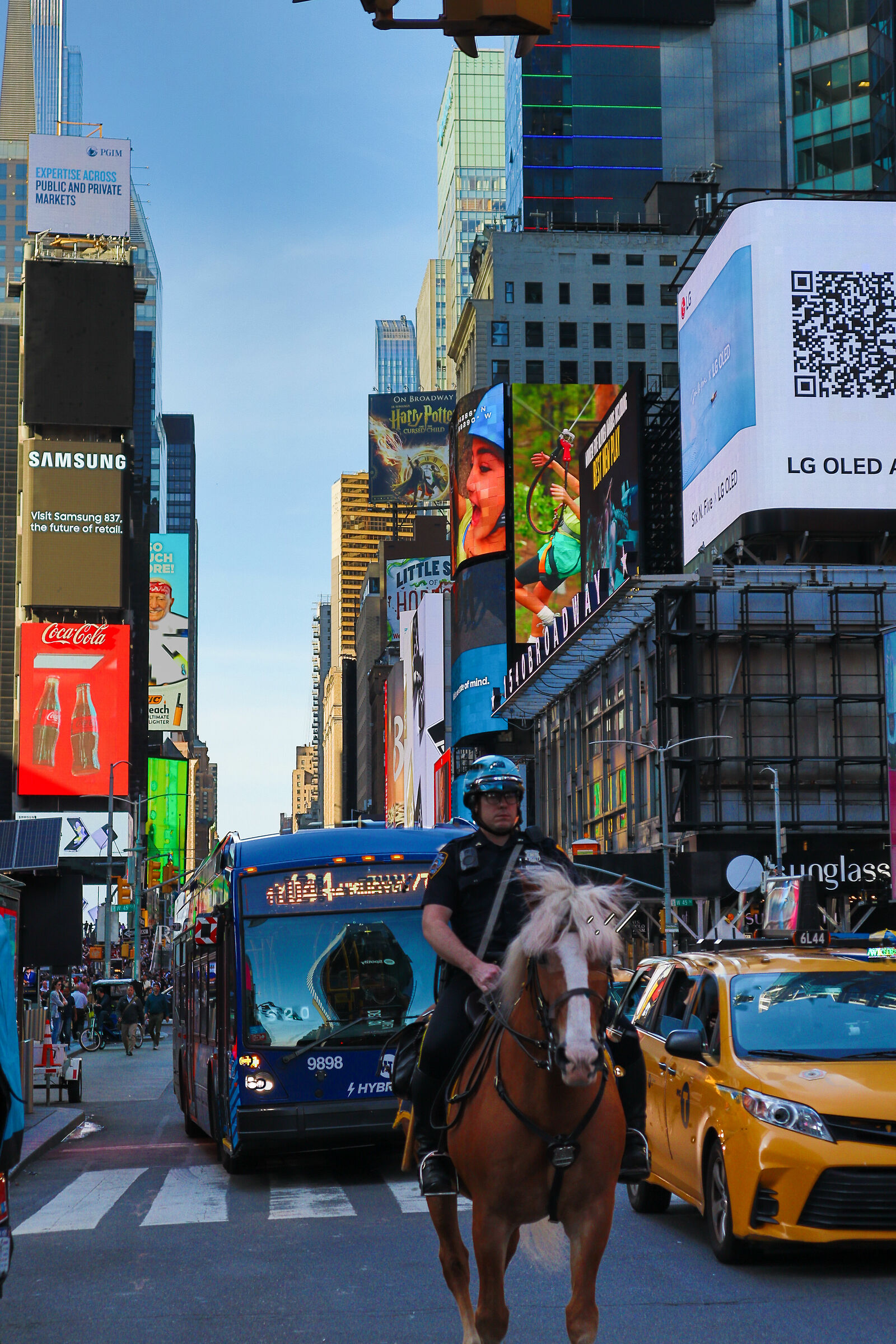 Un cavallo a Times Square