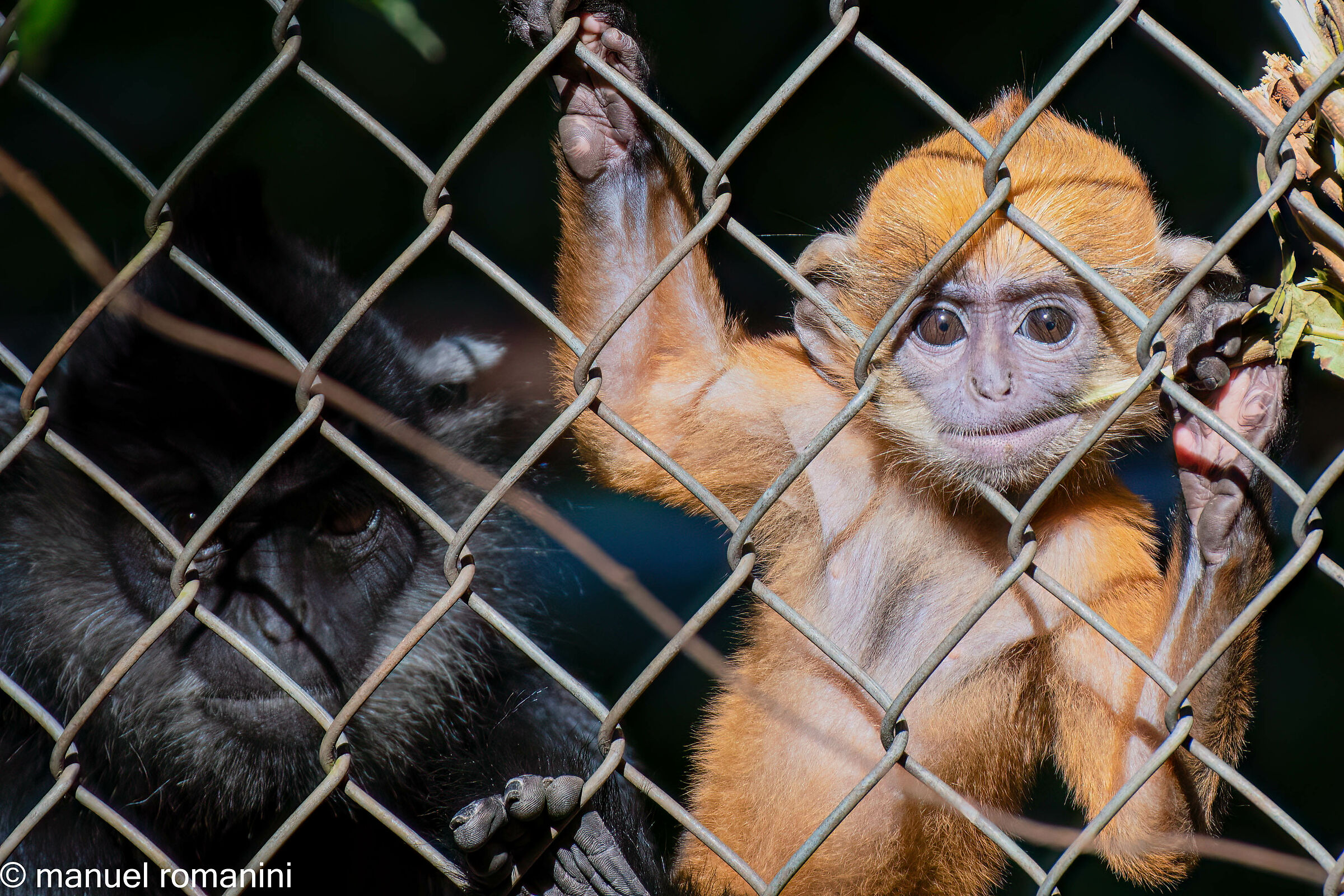 Centri recupero - Mercato nero