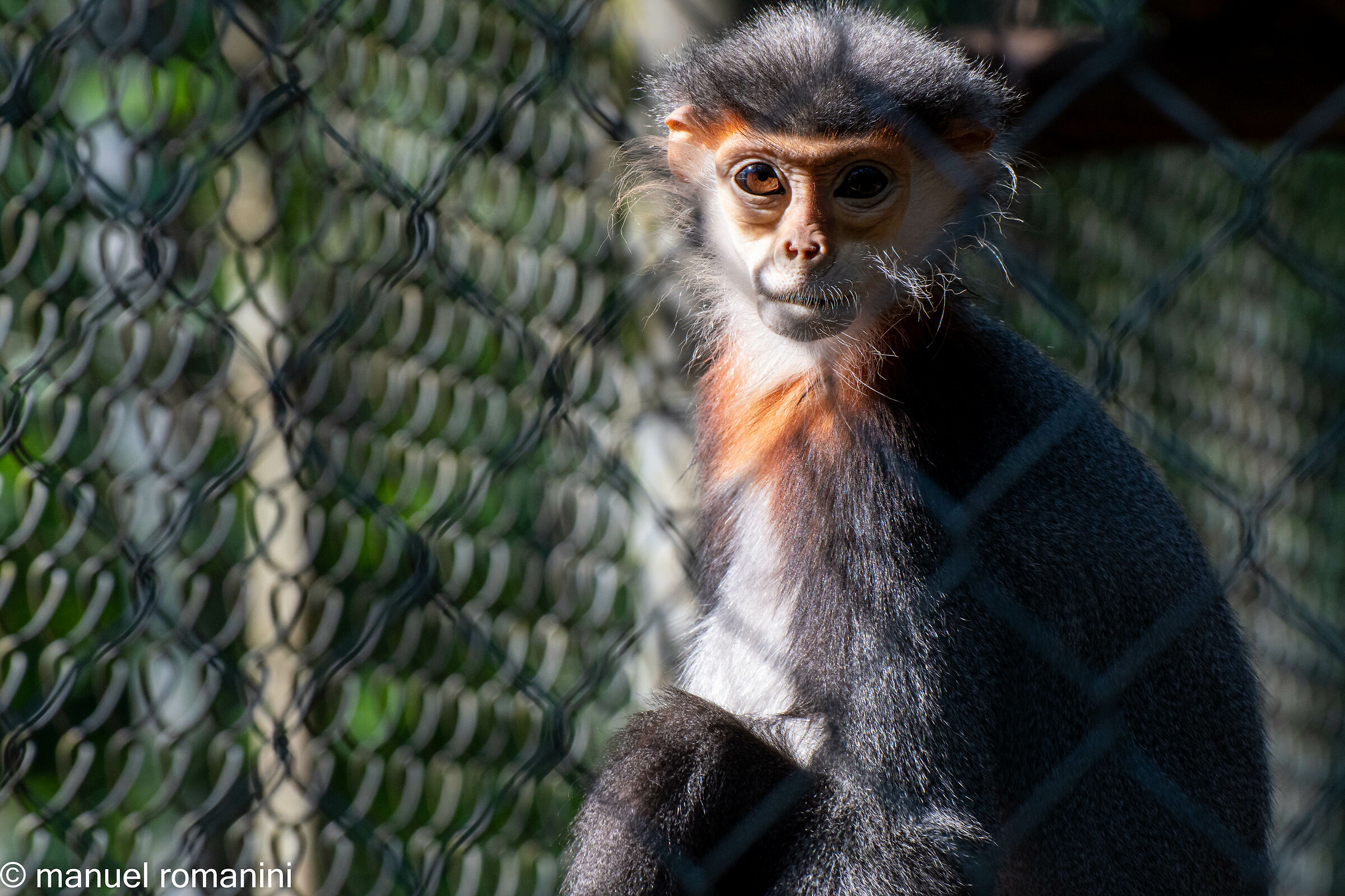 Centri recupero - Mercato nero
