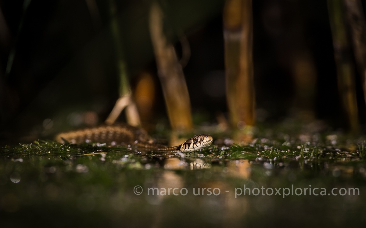 A surface of the water