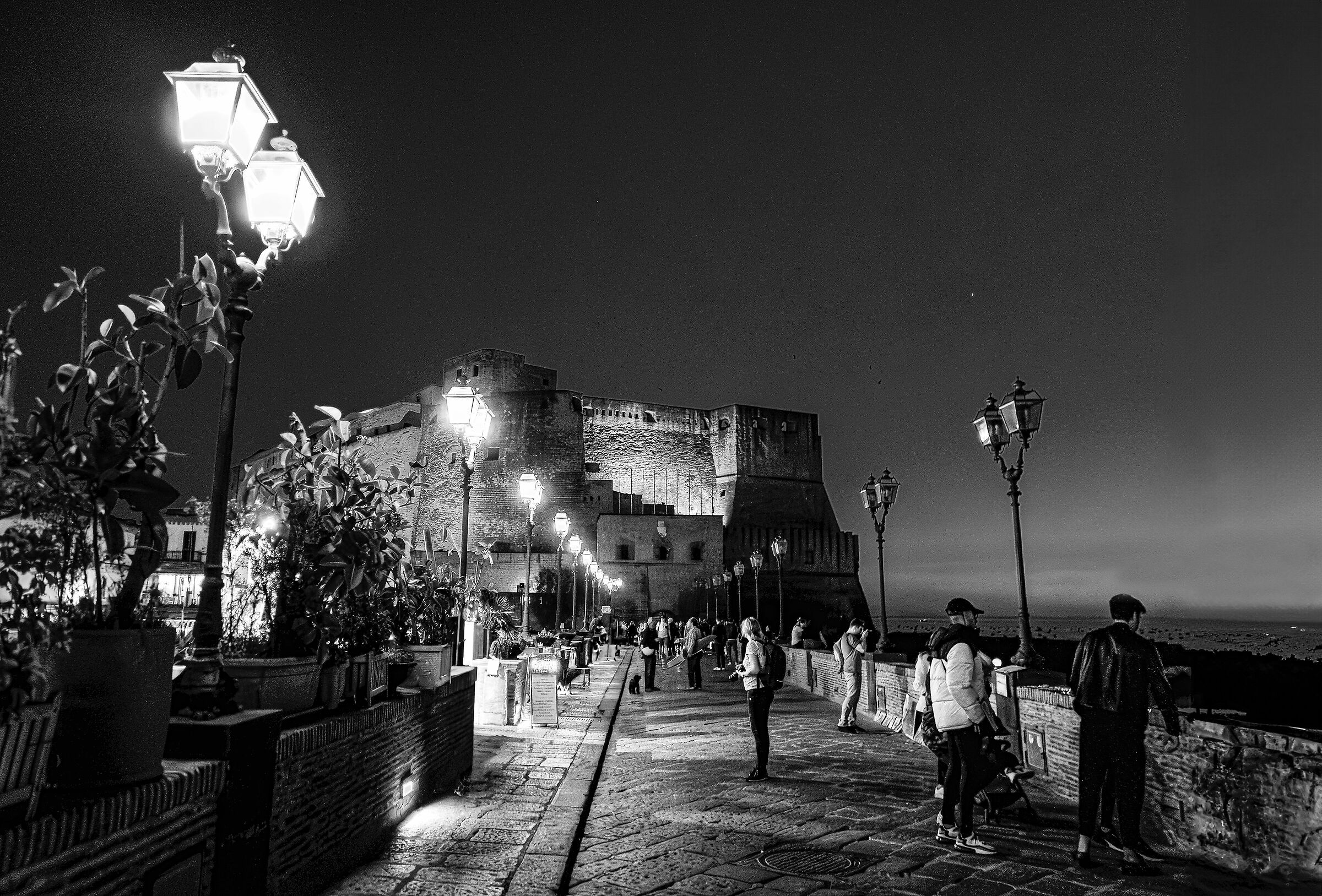 Passeggiata notturna B&N Castel dell'Ovo - Na