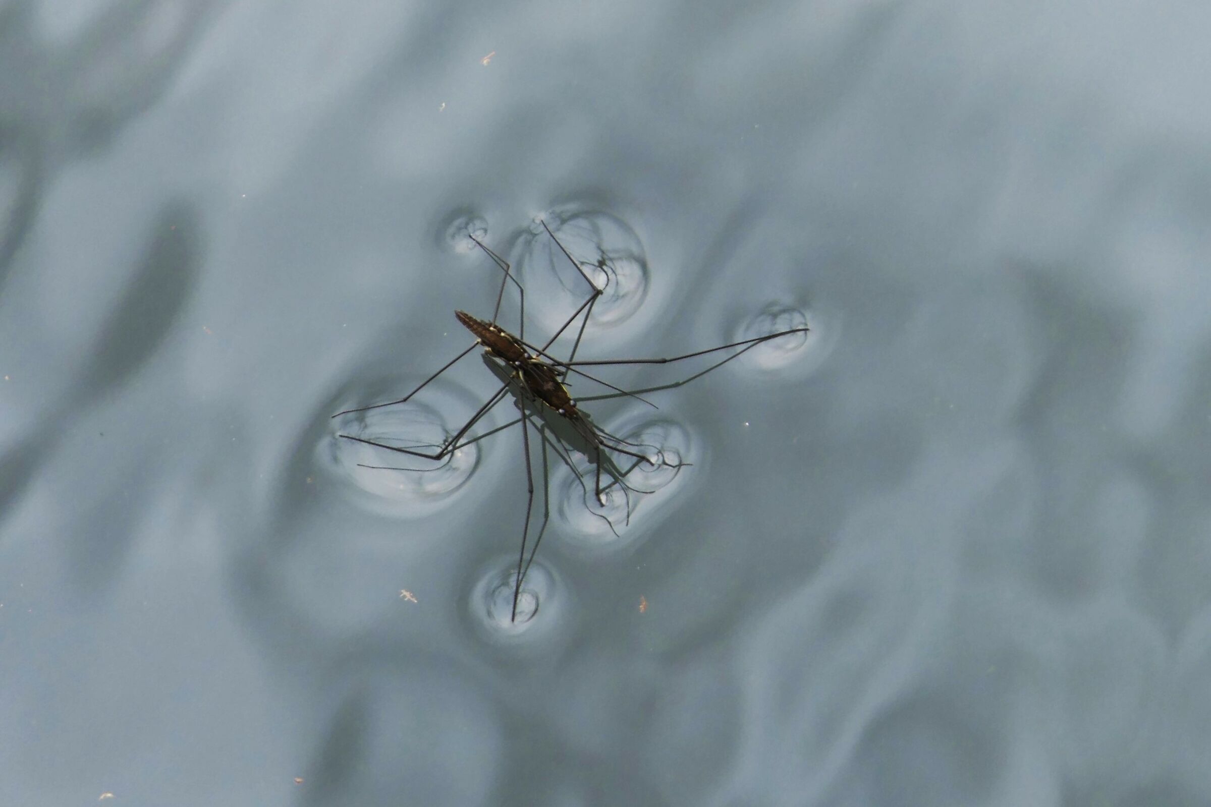 rimanere a galla......sempre