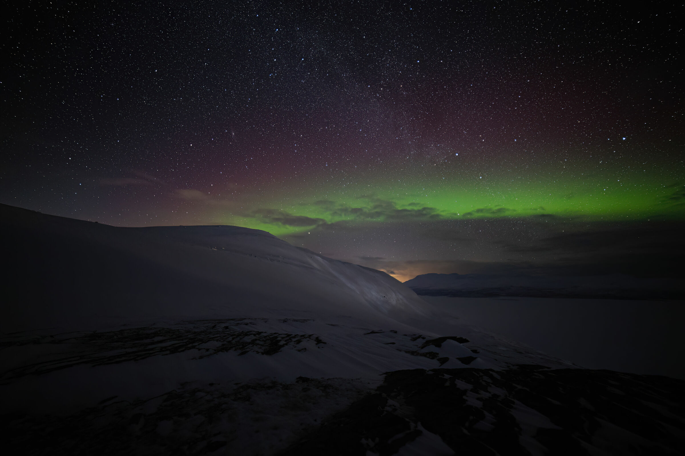 Nocturnal enchantment