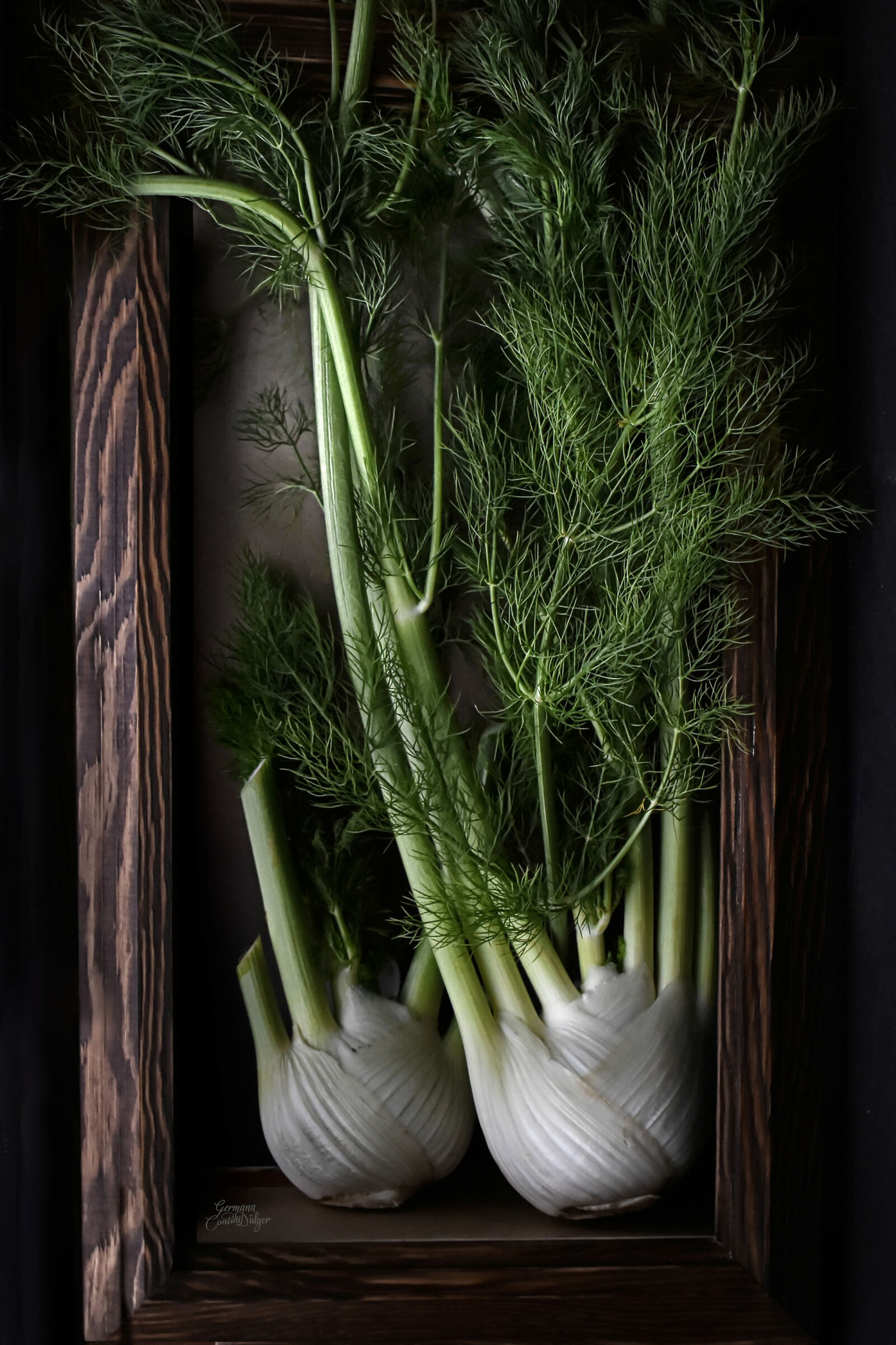 Non lasciatevi "infinocchiare"