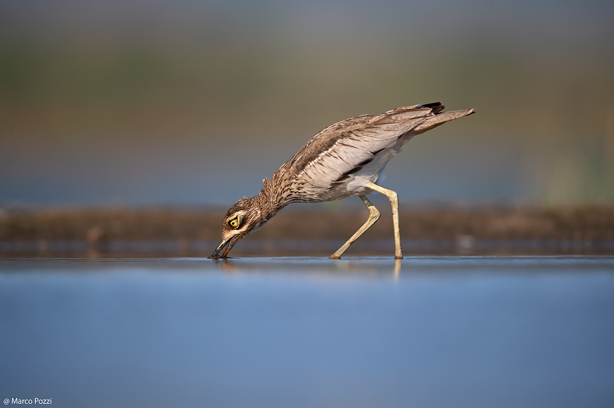 Il piccolo pescatore