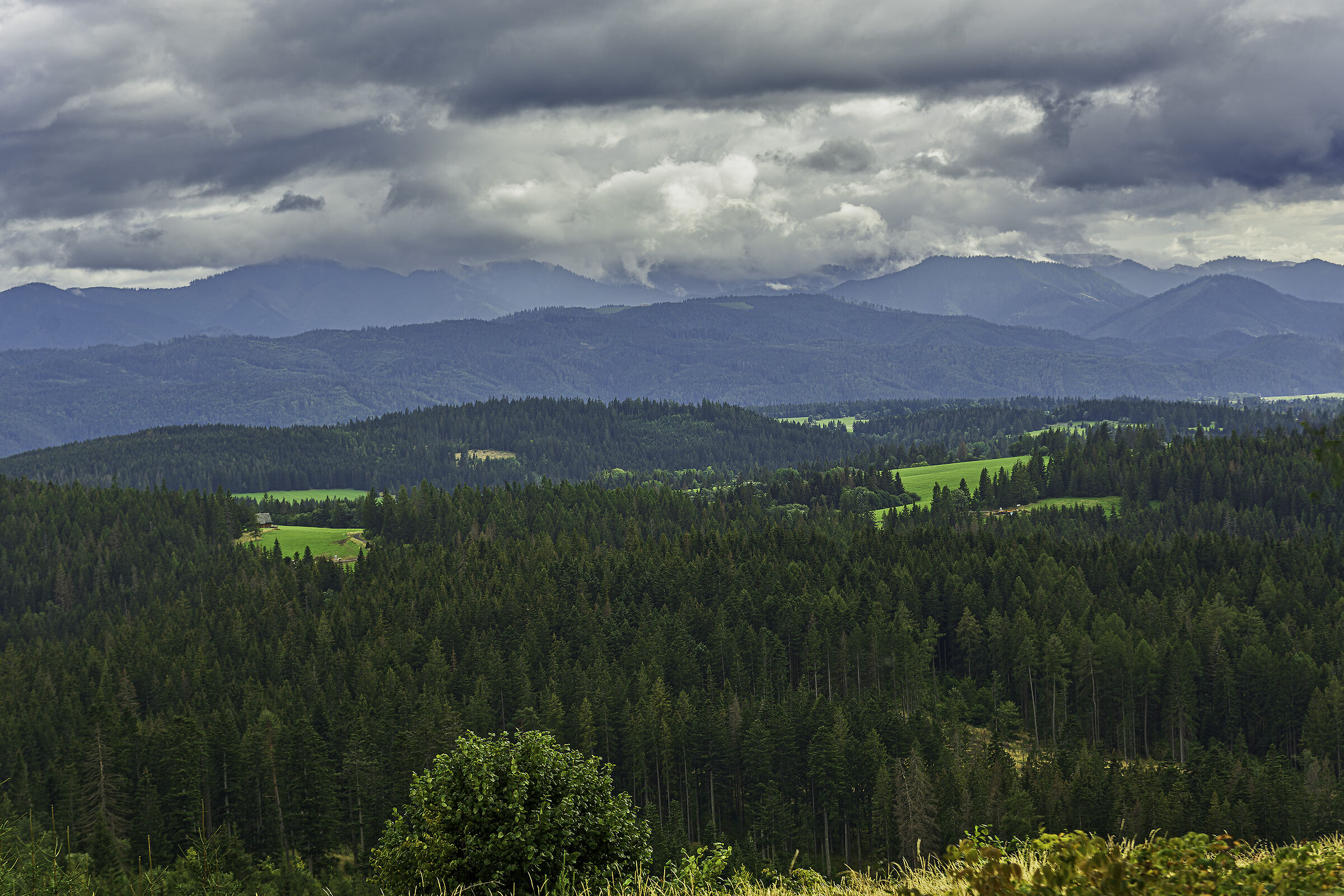 Low Tatras under cover...