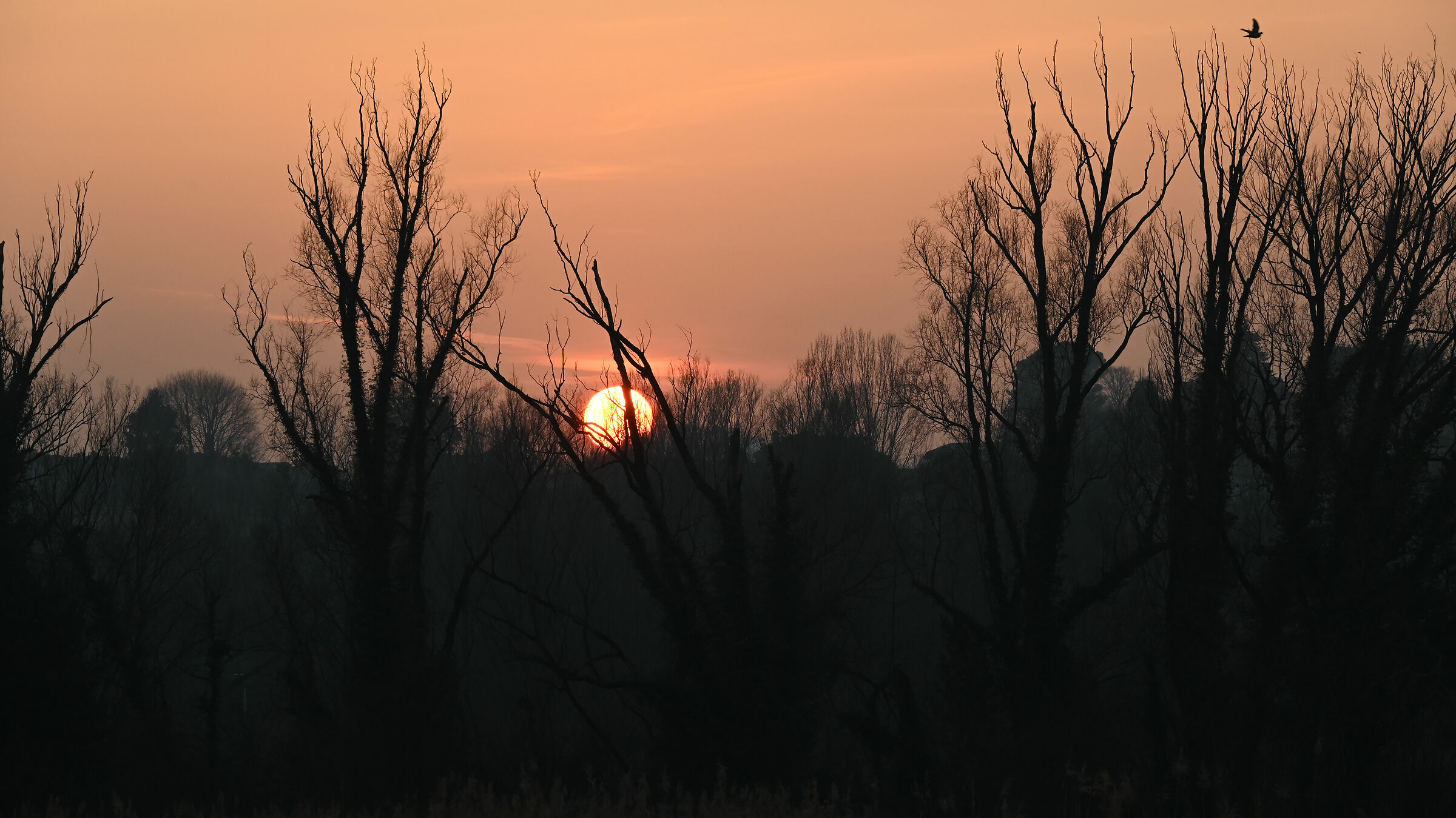 Winter sunset in the Lombardy countryside 2