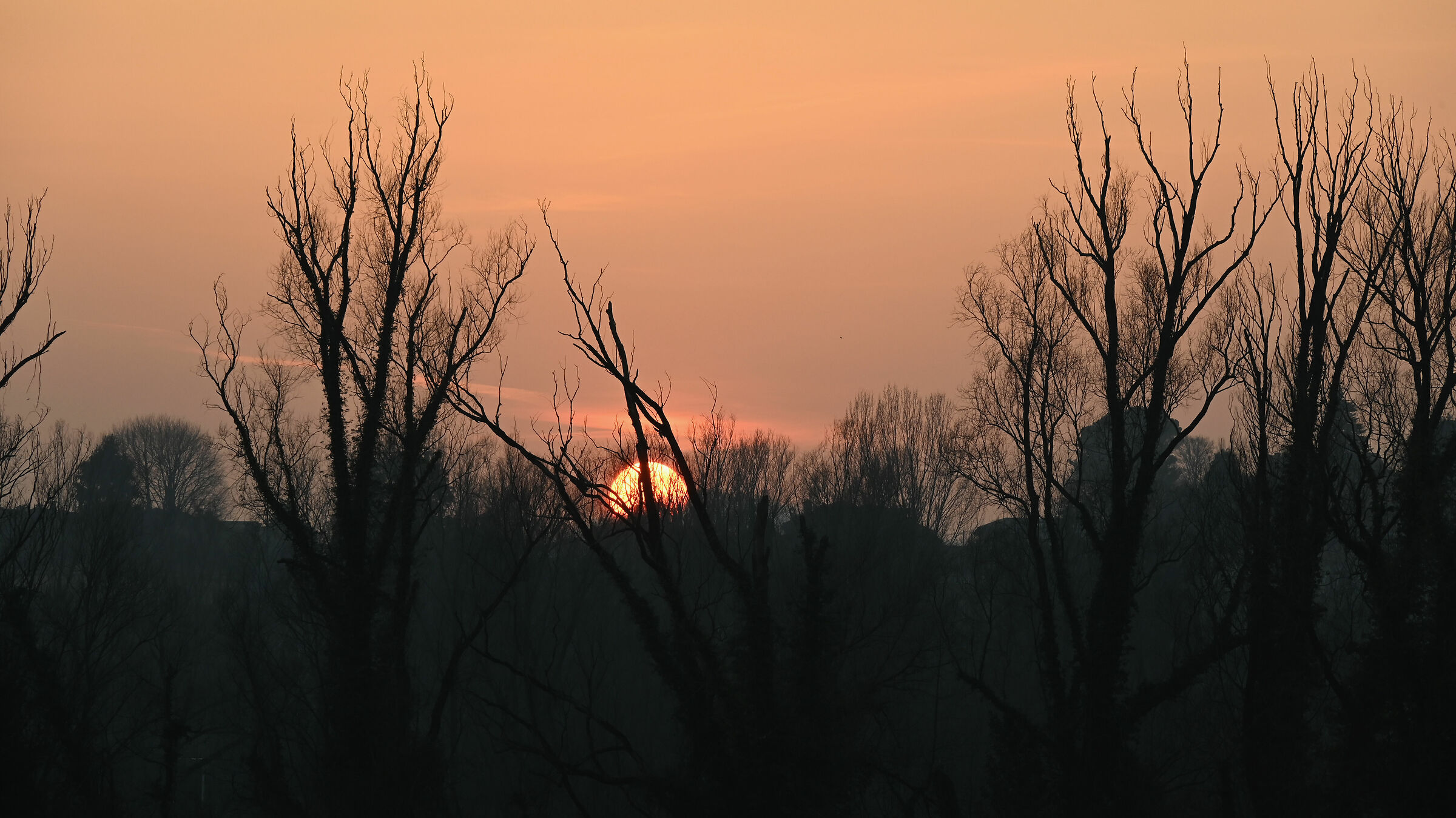 Winter sunset in the Lombardy countryside 3