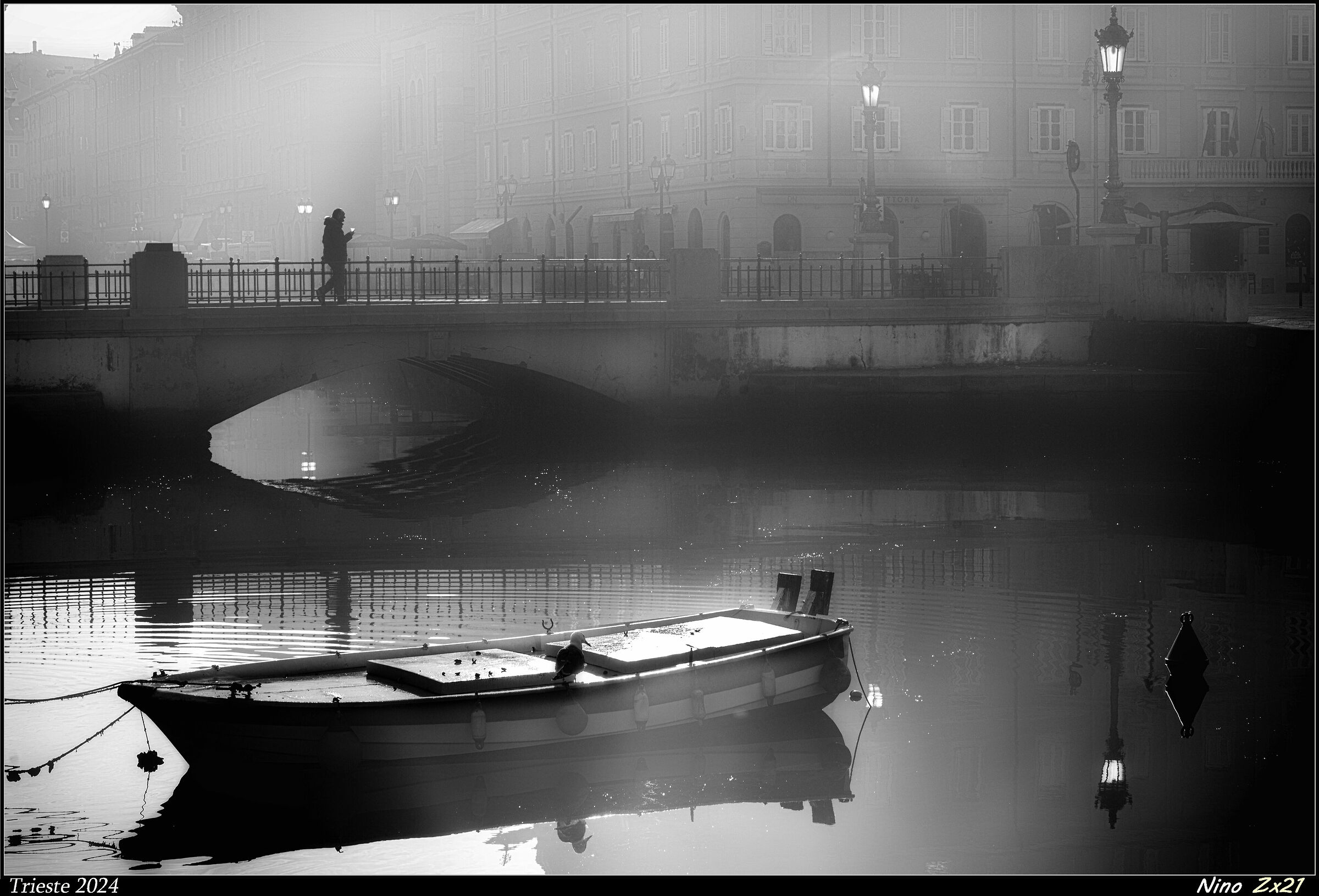 A ray of sunshine in the fog