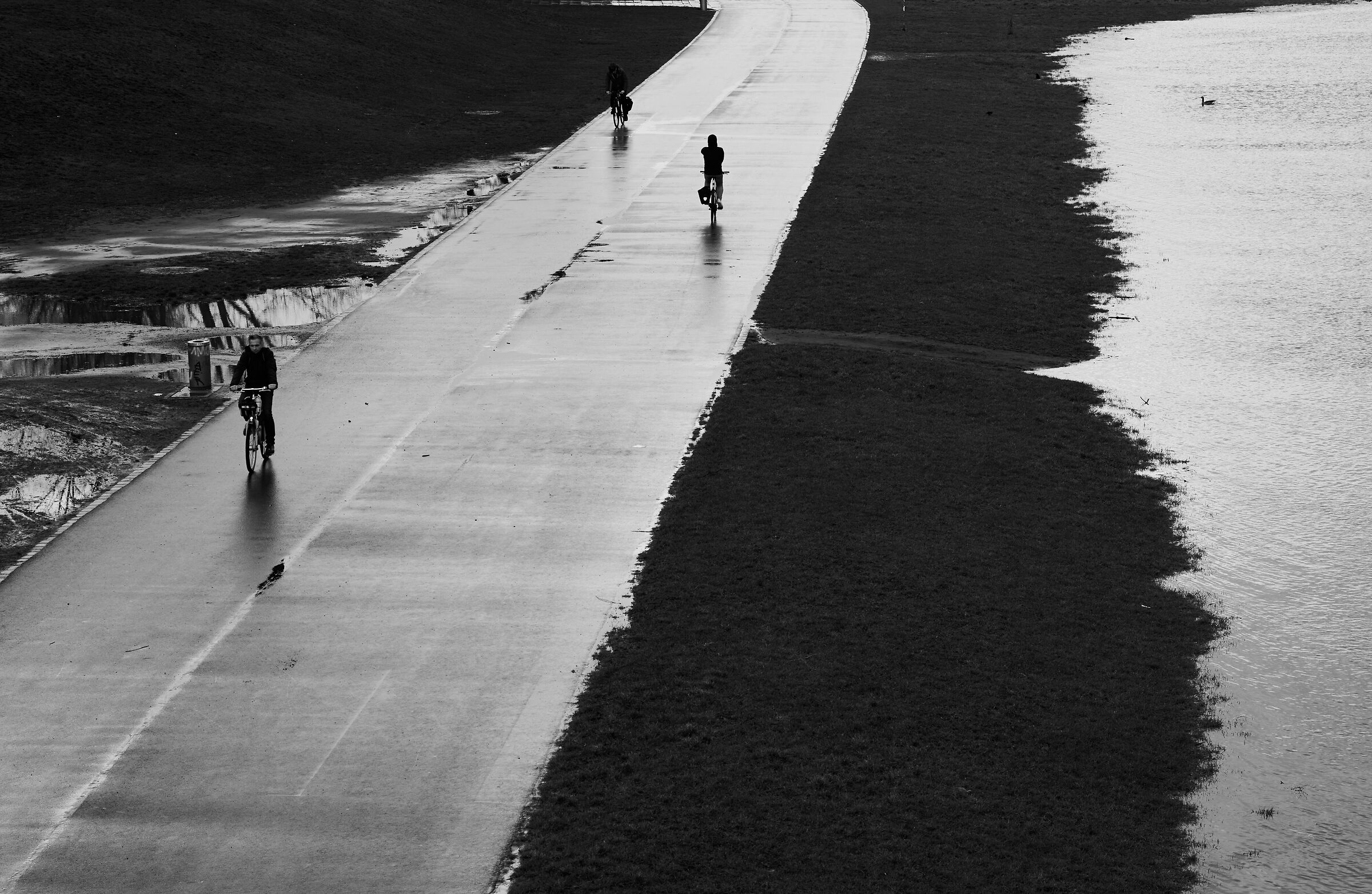 Nella scia della luce