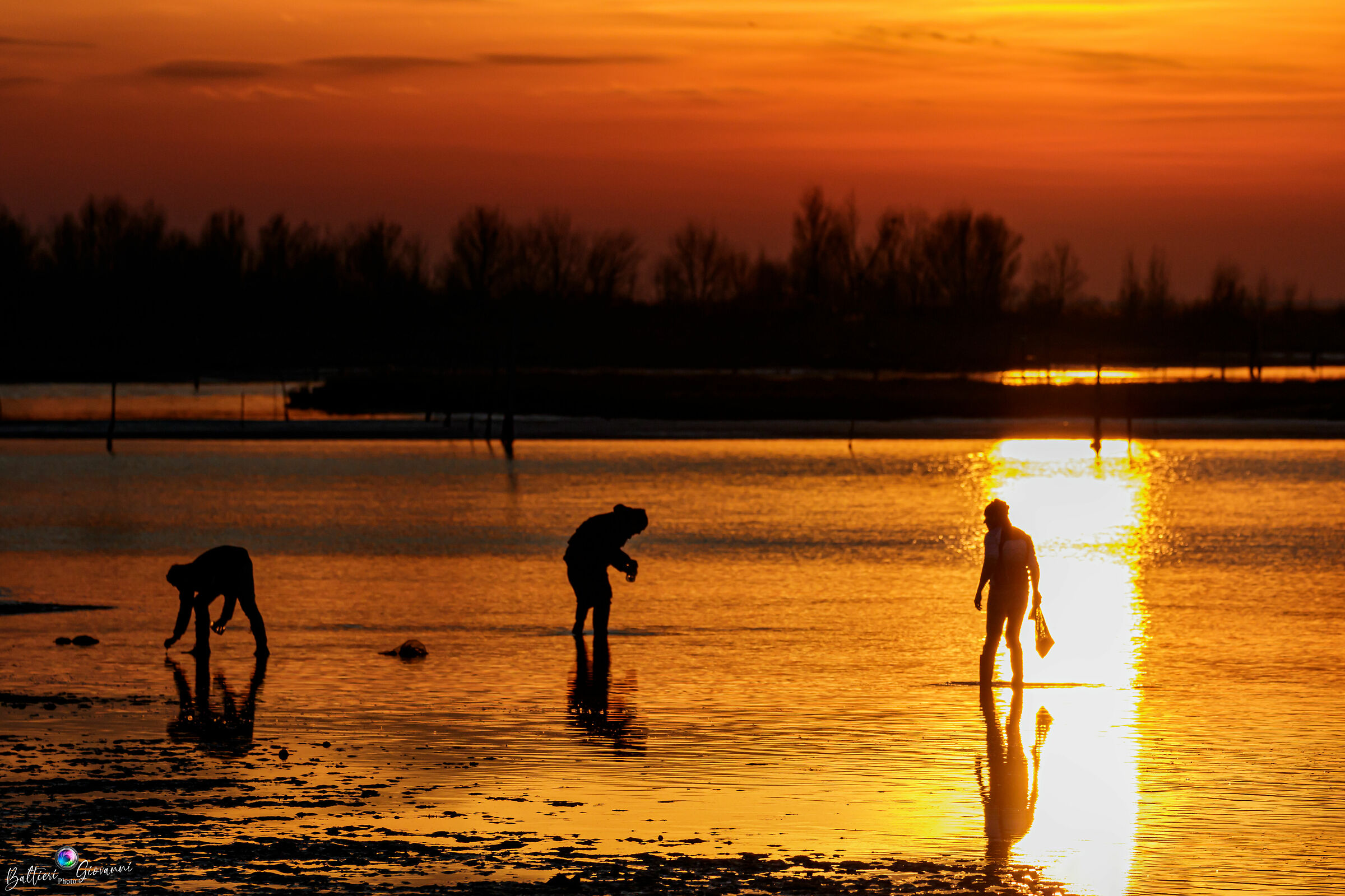 Raccoglitori di vongole