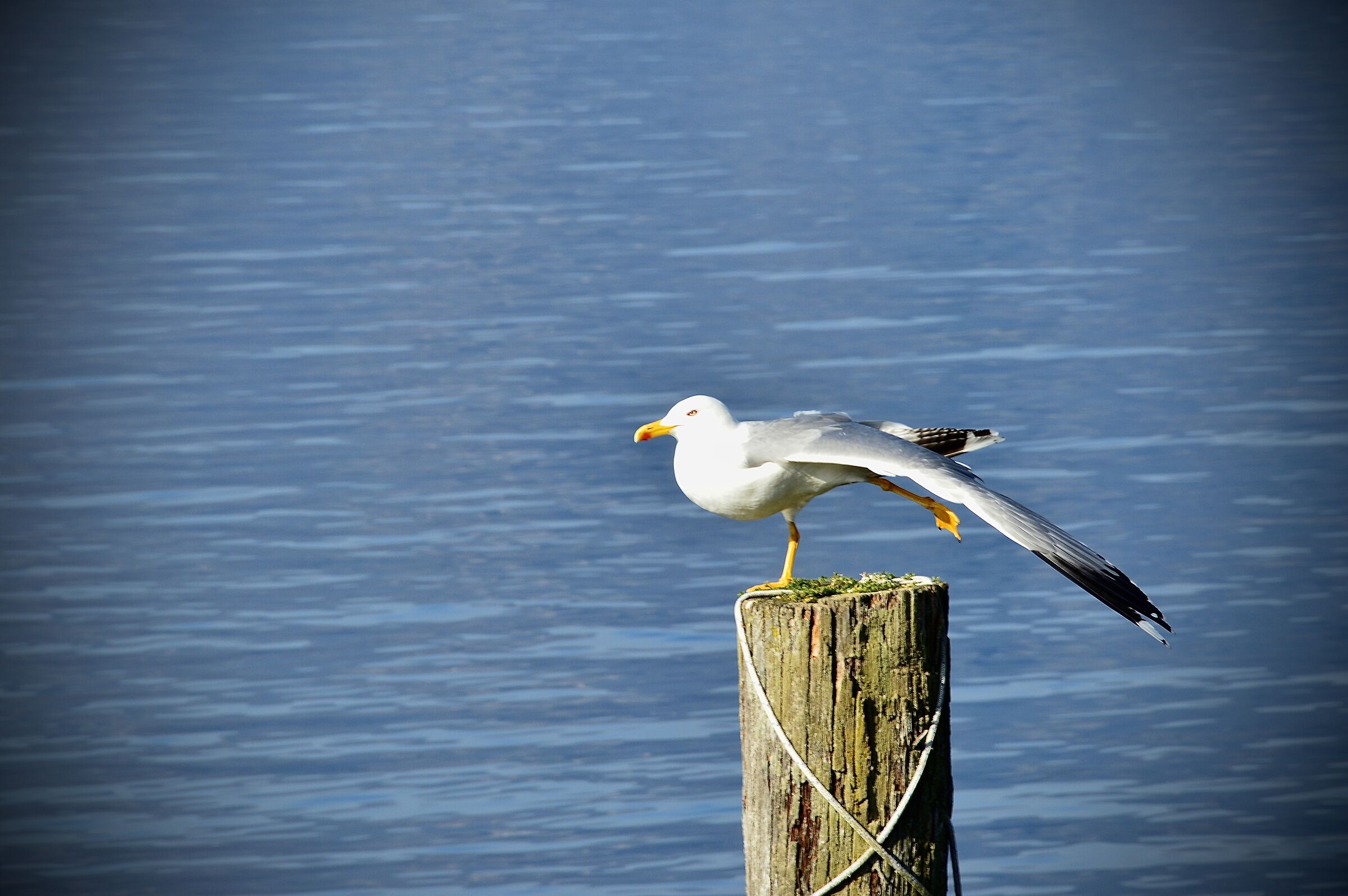 ... A little stretching...