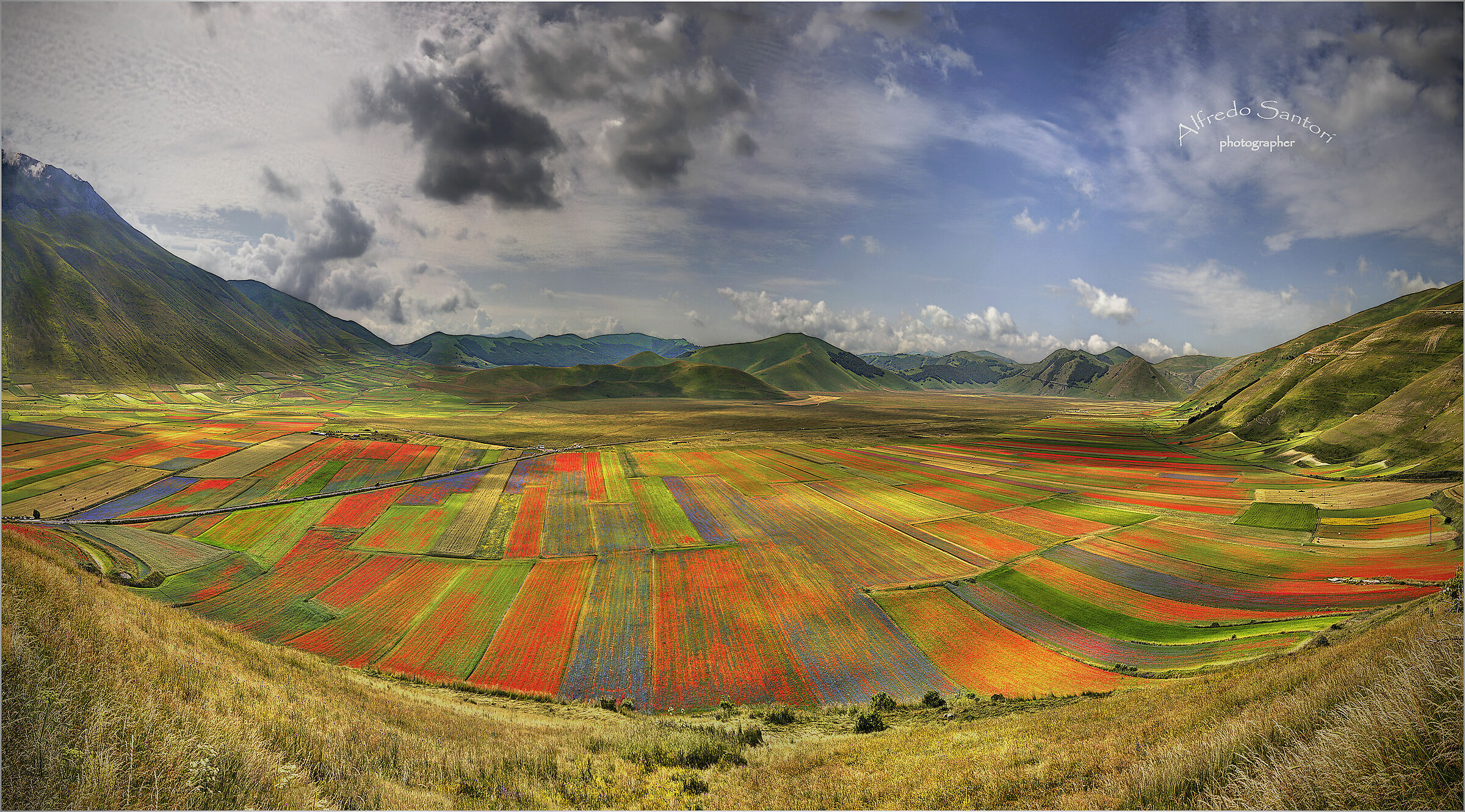 La fioritura del 2016 a Castelluccio di Norcia ..