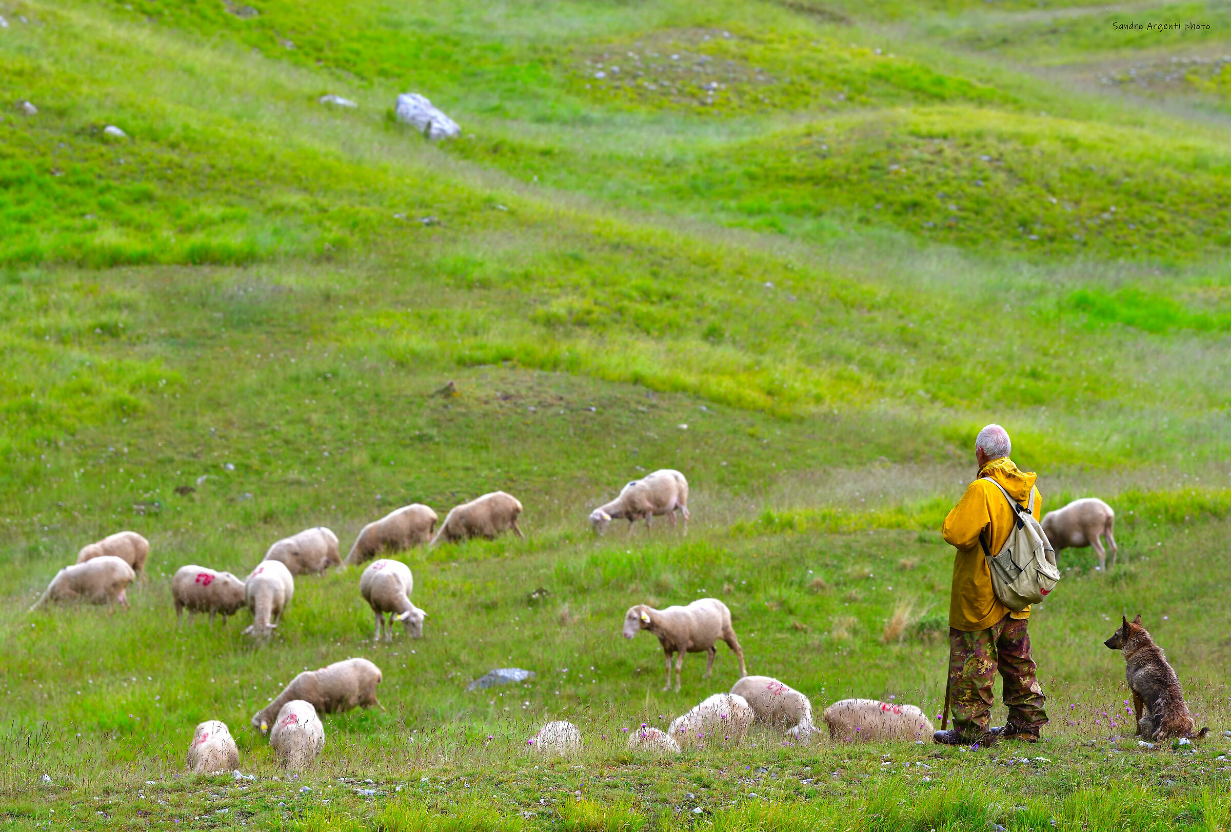L'Uomo e il Cane. Abruzzo.