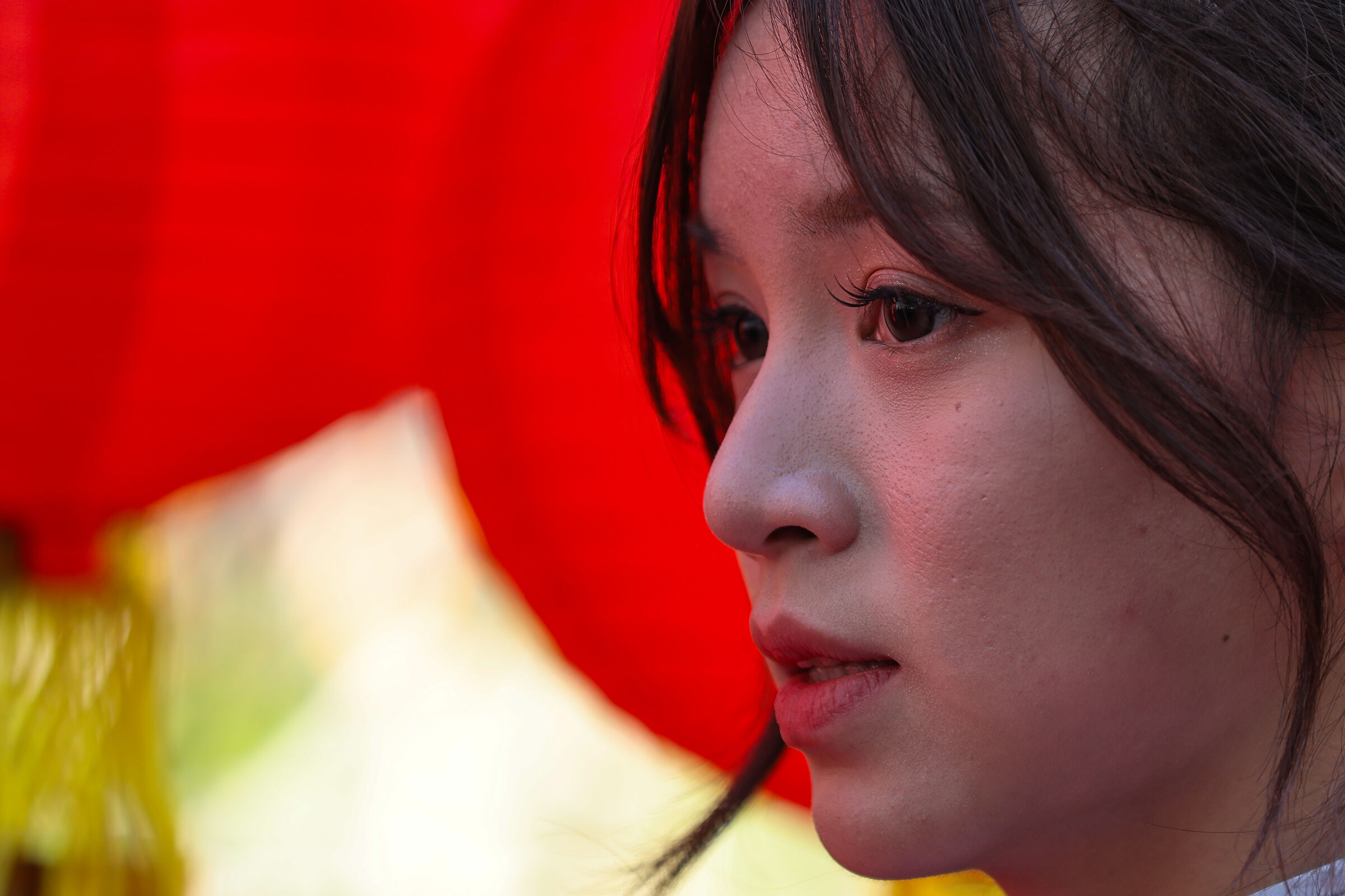 From Chinese New Year