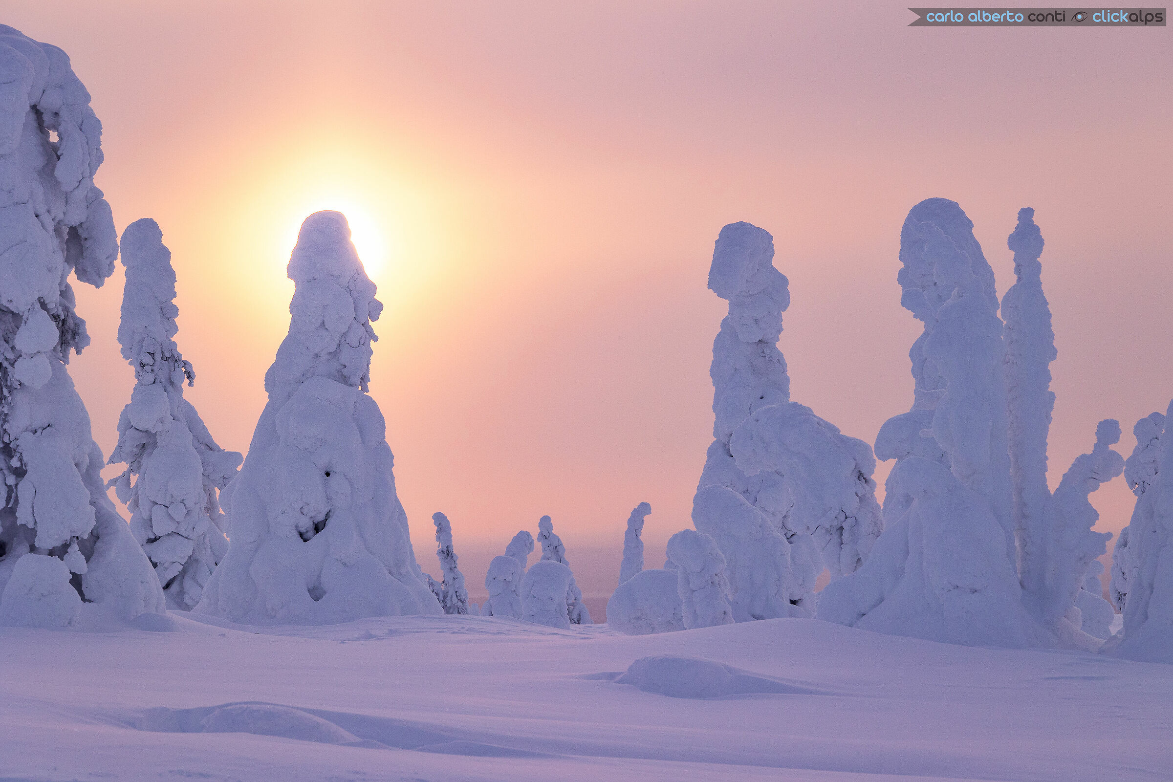 Riisitunturi National Park