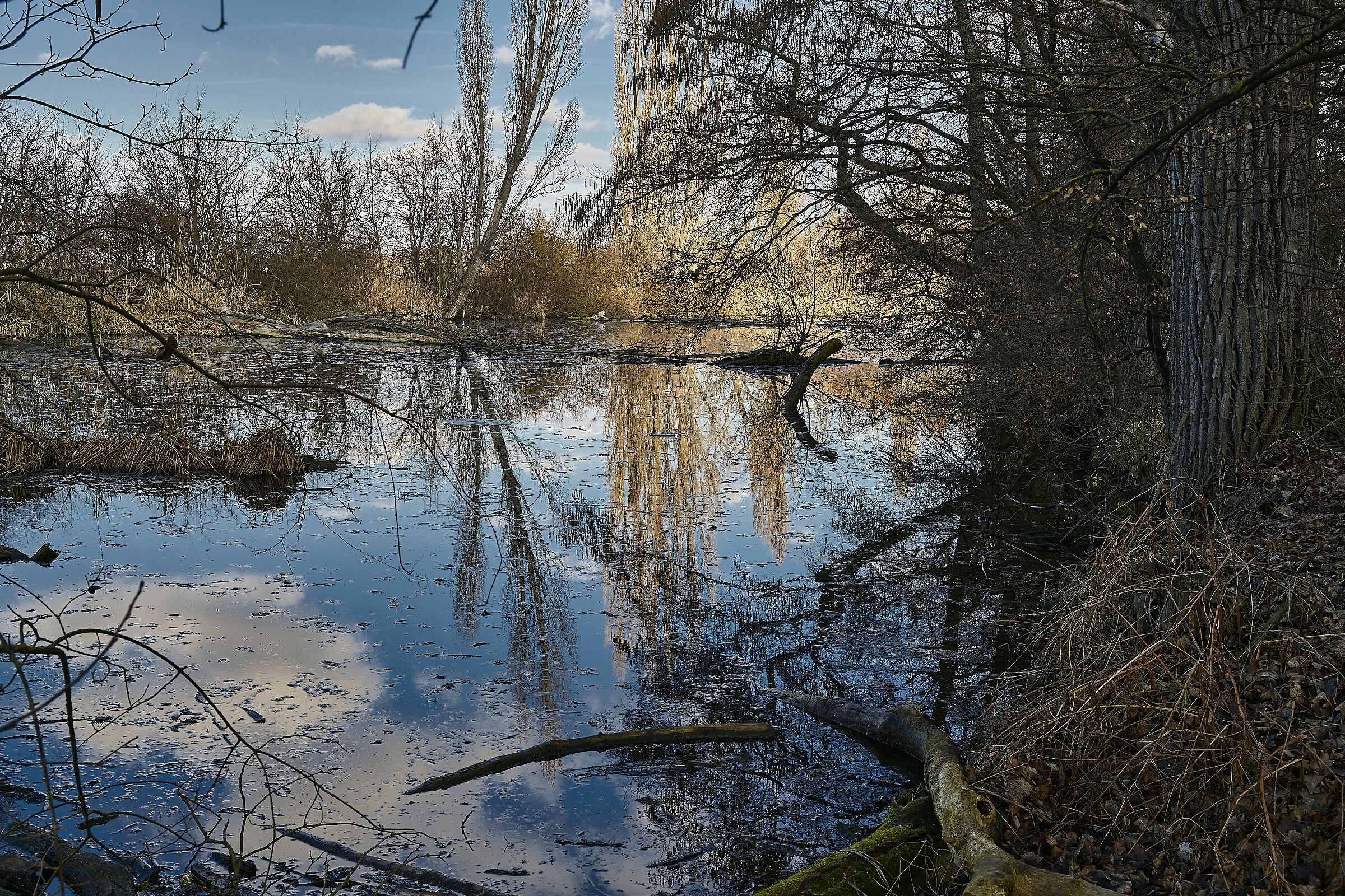 Natural park Holasky