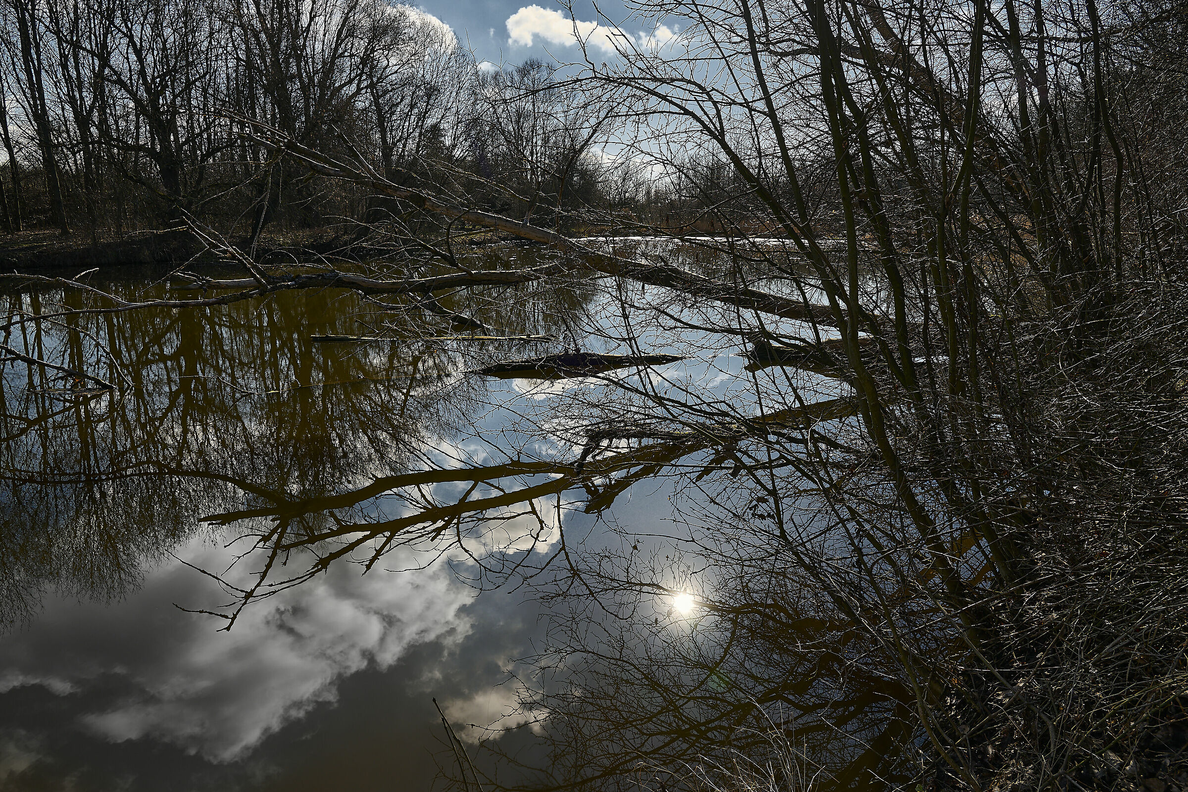 Natural park Holasky
