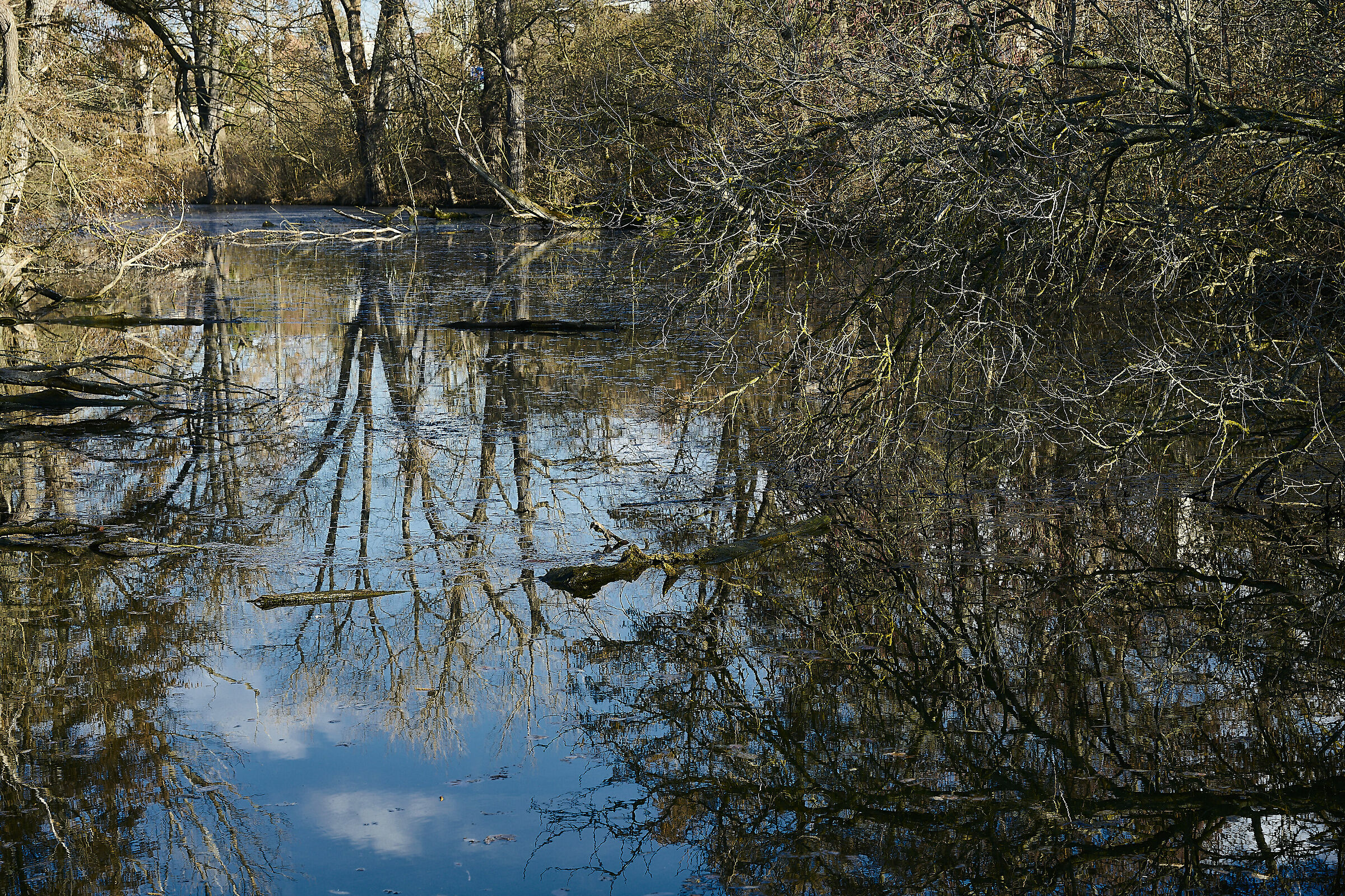 Natural park Holasky