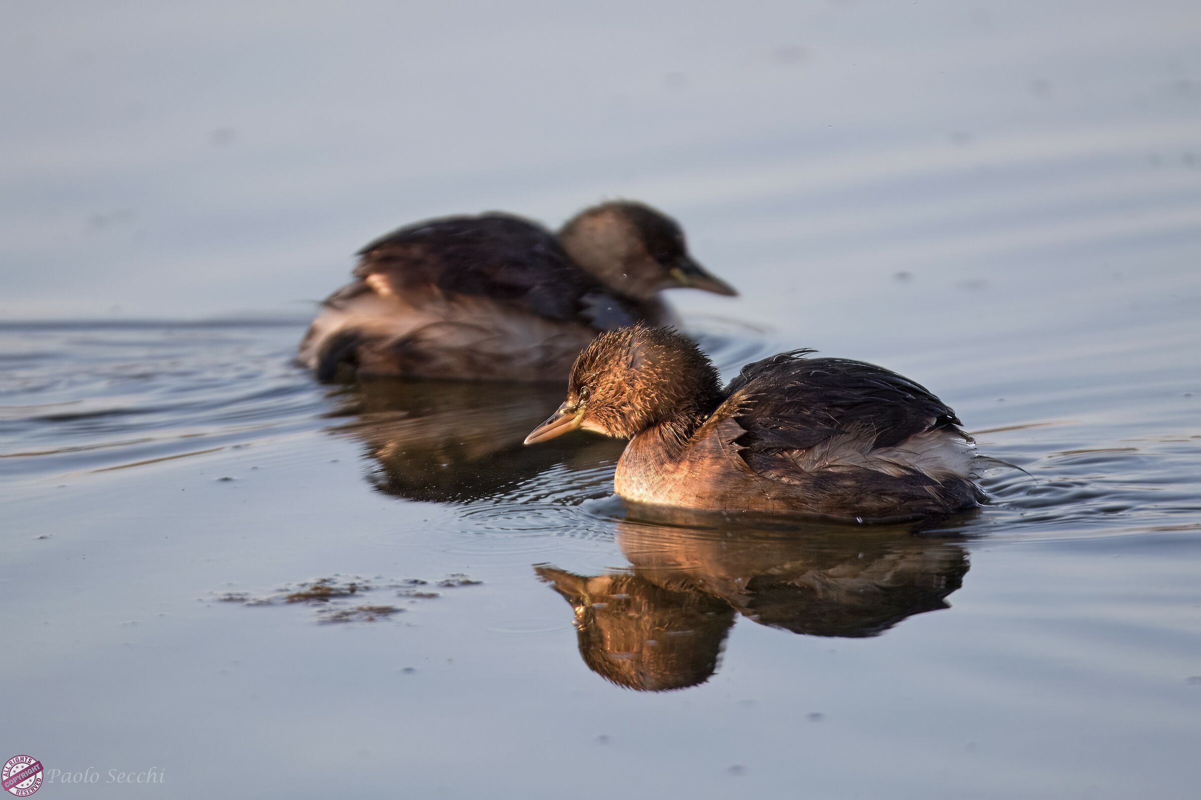 The sun kisses the beautiful