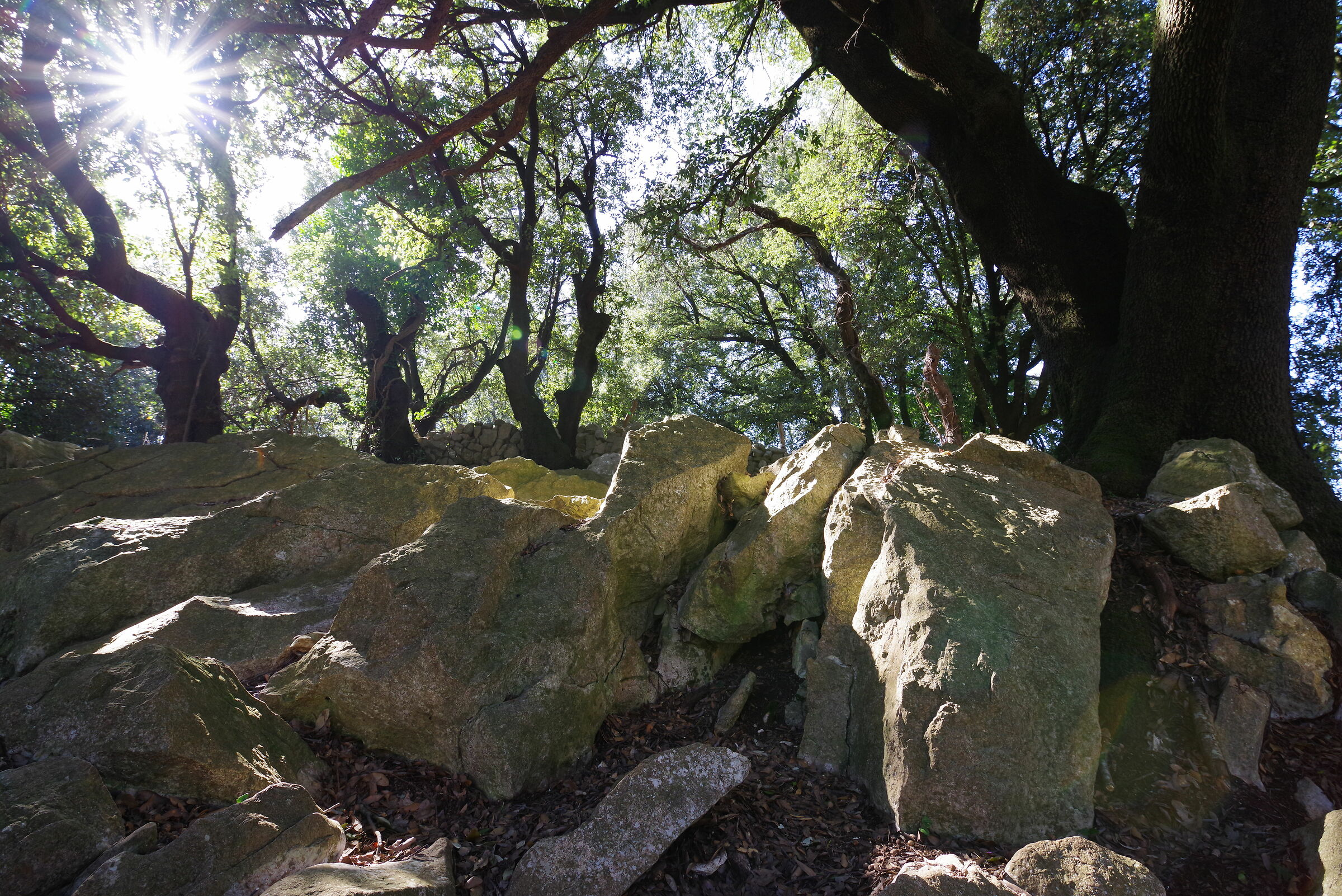 The Via della Fota known as Malvisciolo (Lepini Mountains)
