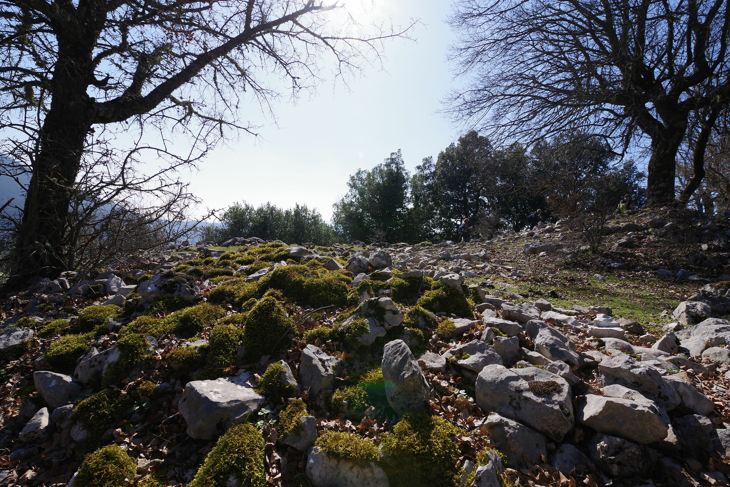 La via della Fota detta di Malvisciolo (monti Lepini)