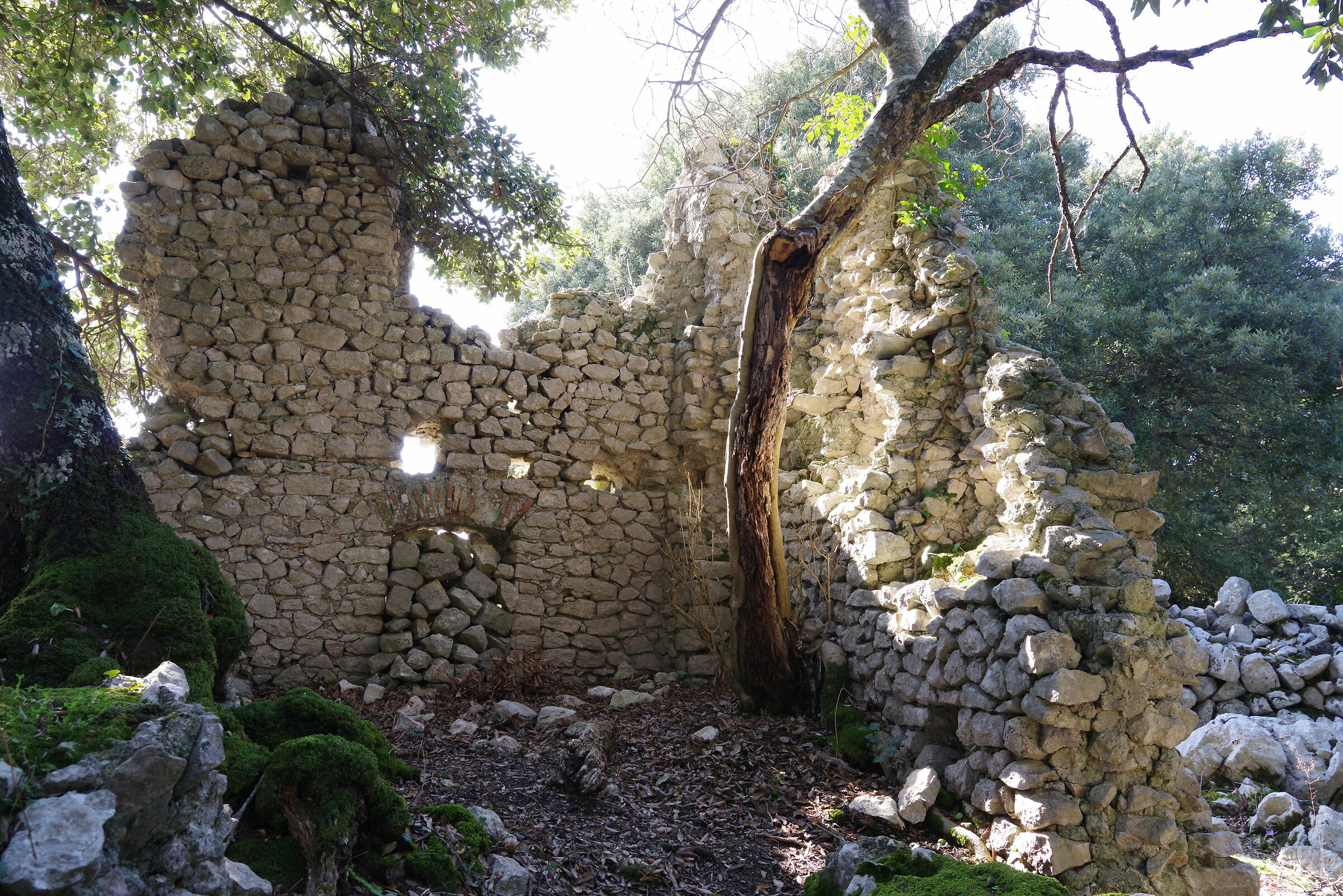 Ruins of the Abbey of Malvisciolo