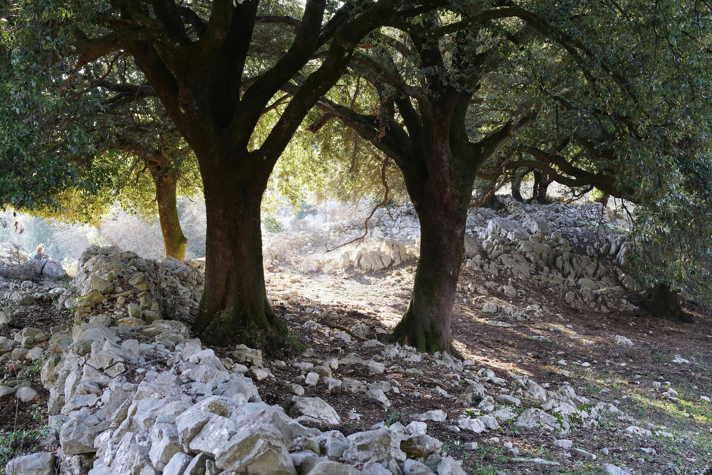 sentiero nei monti Lepini