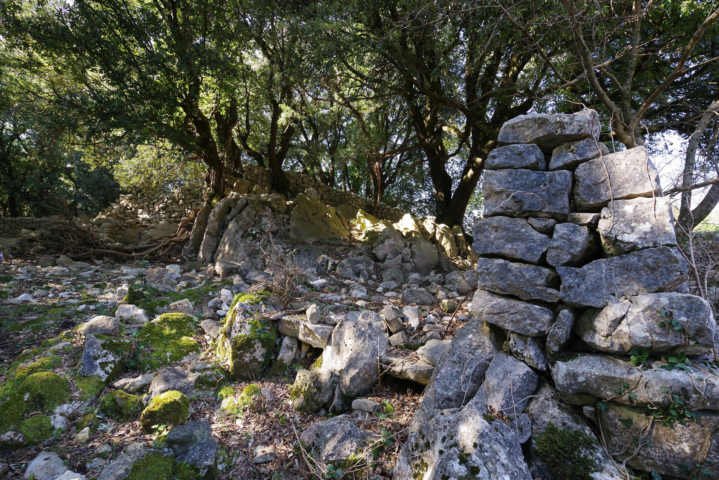 La via della Fota detta di Malvisciolo (monti Lepini)