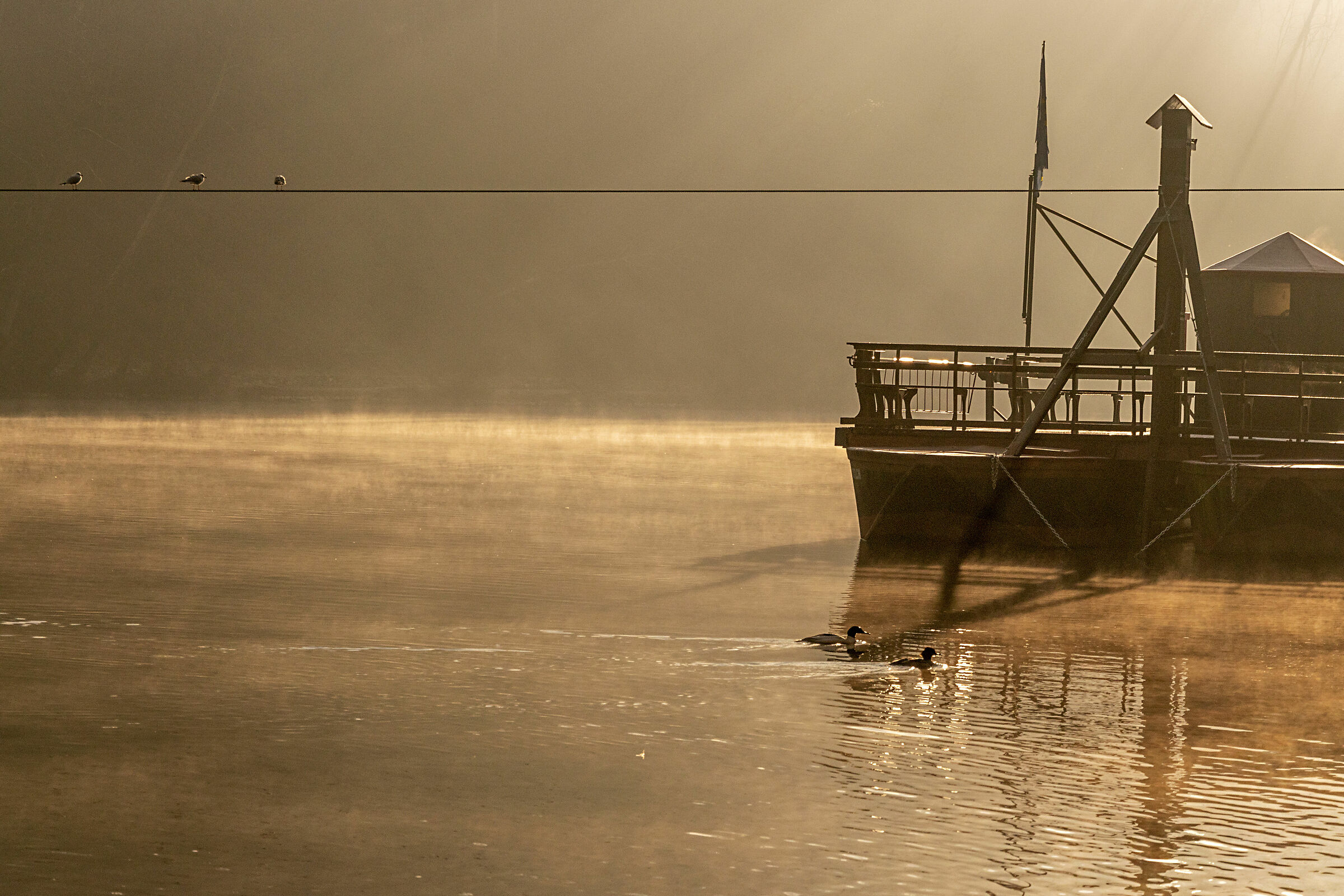 il traghetto di Leonardo