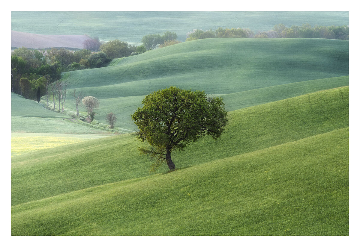 Val d'Orcia