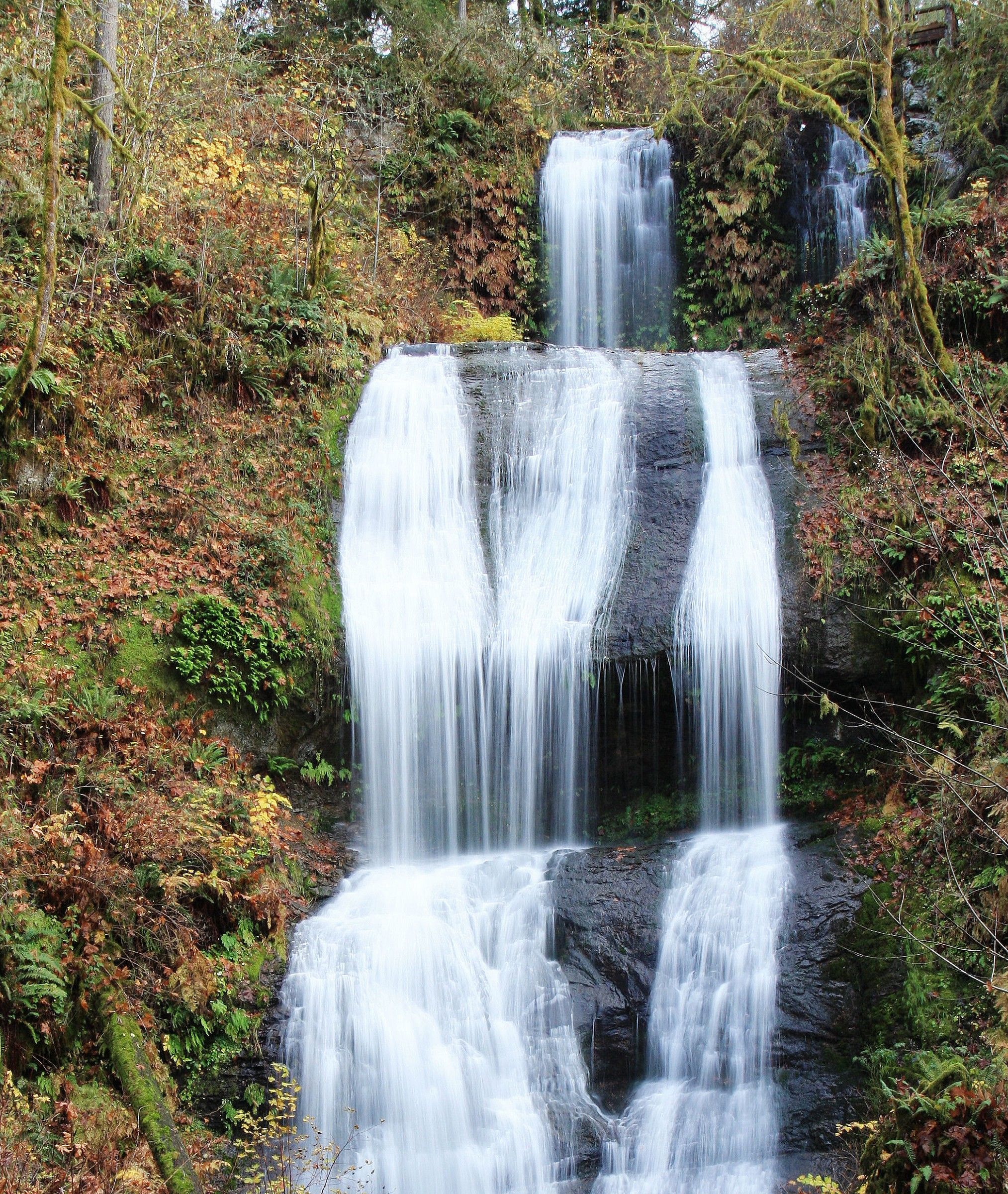 Triple Your Pleasure