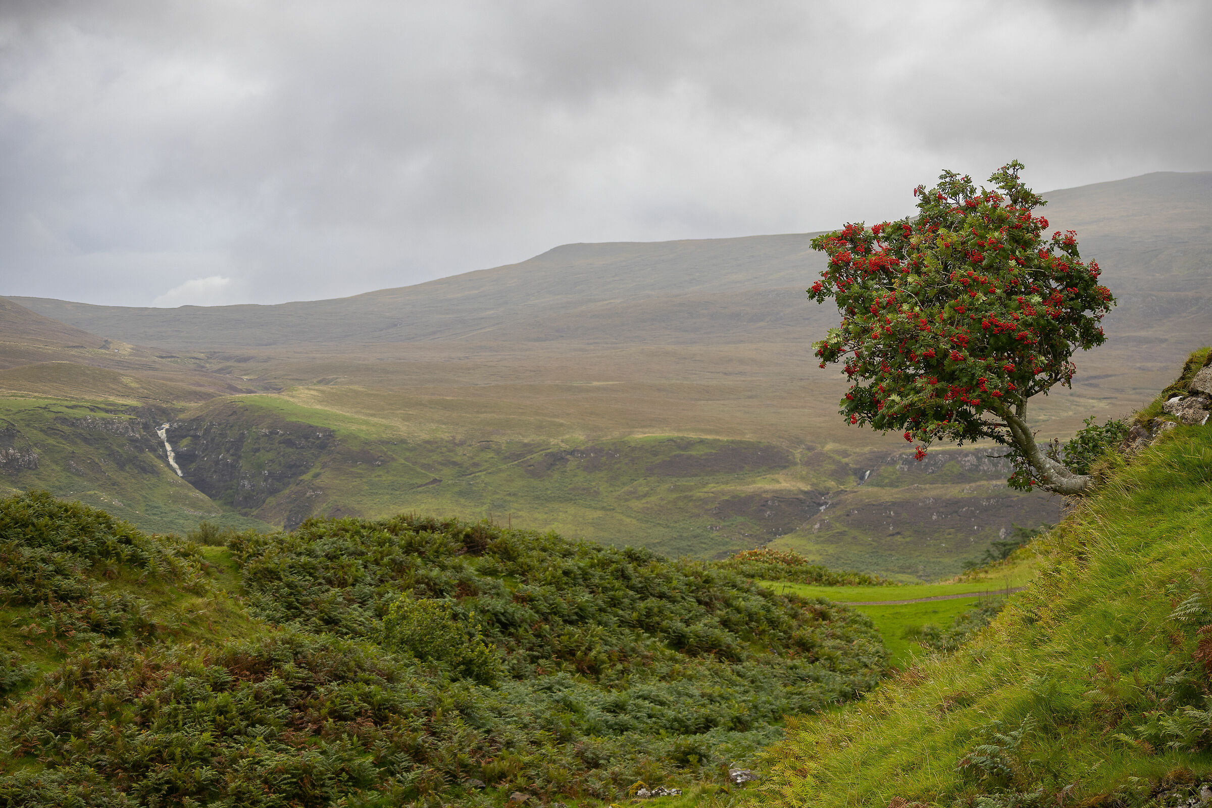 The Fairy Glen