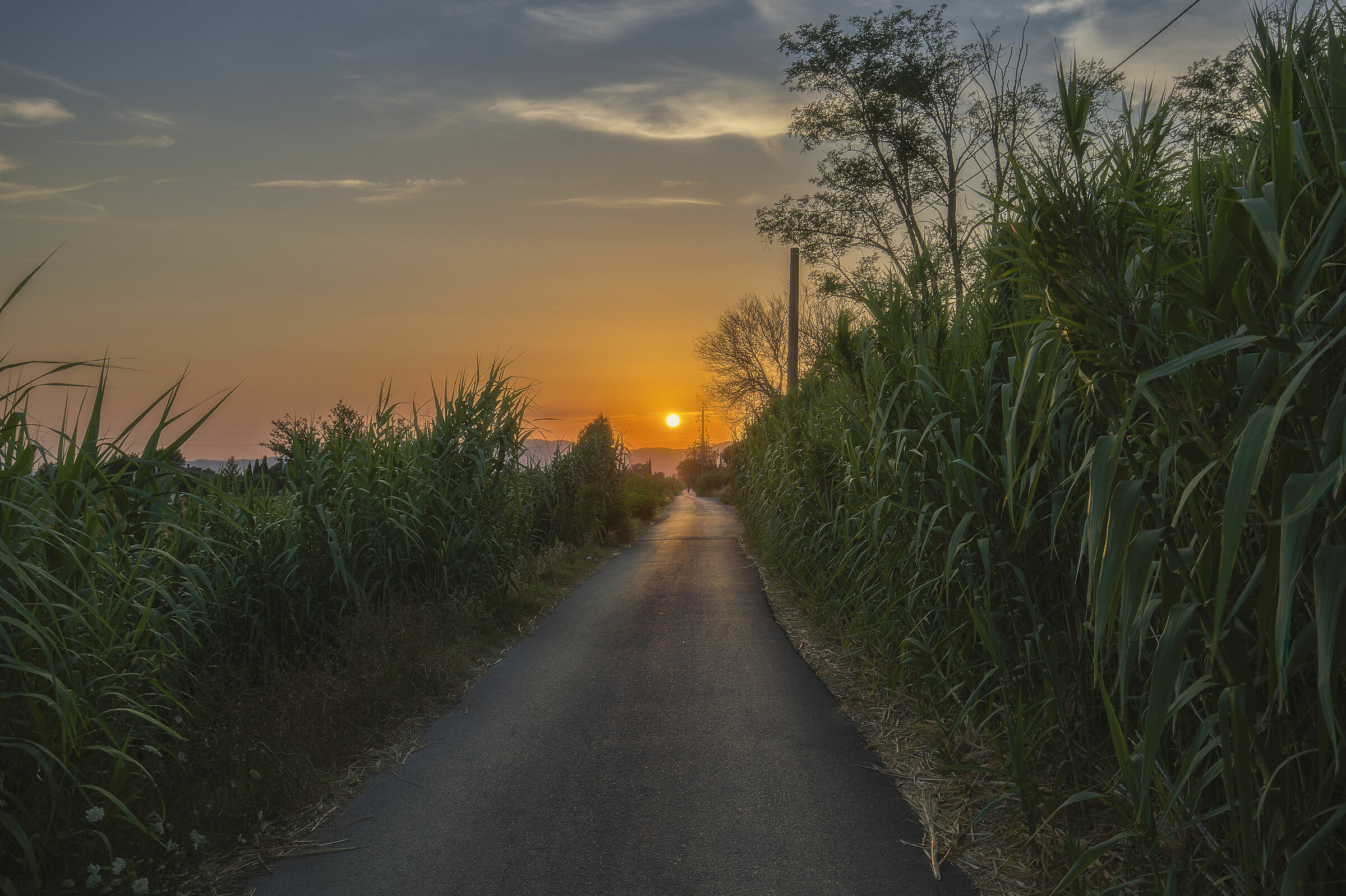 Sunset in the countryside