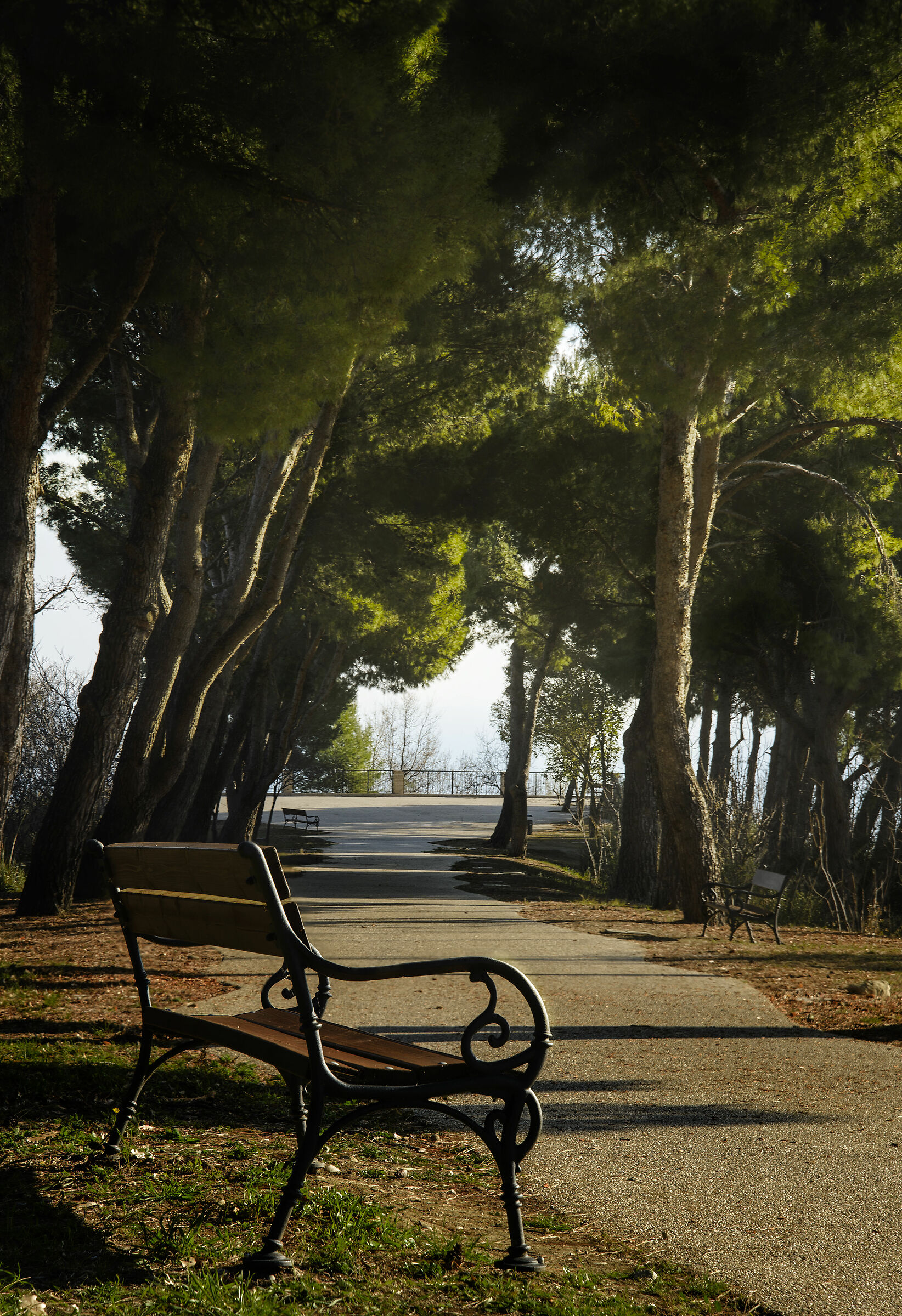 Sit down to be able to travel