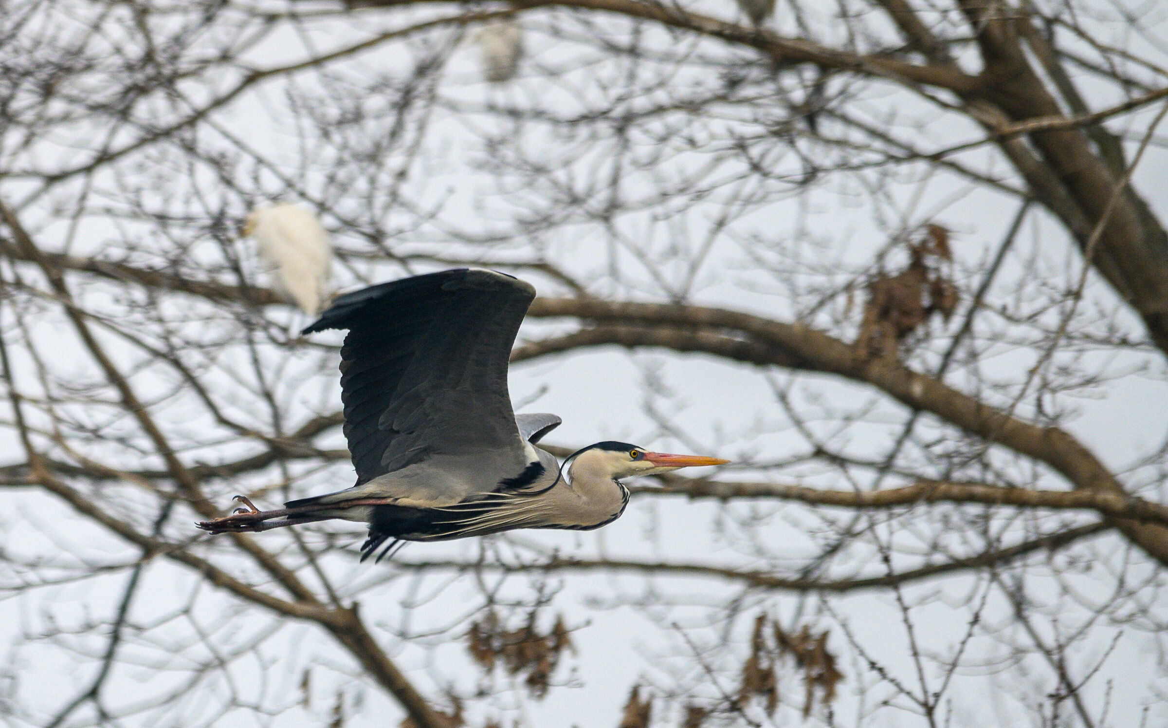 Con grande soddisfazione!!!