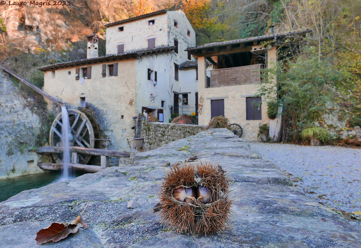 Molinetto della Croda