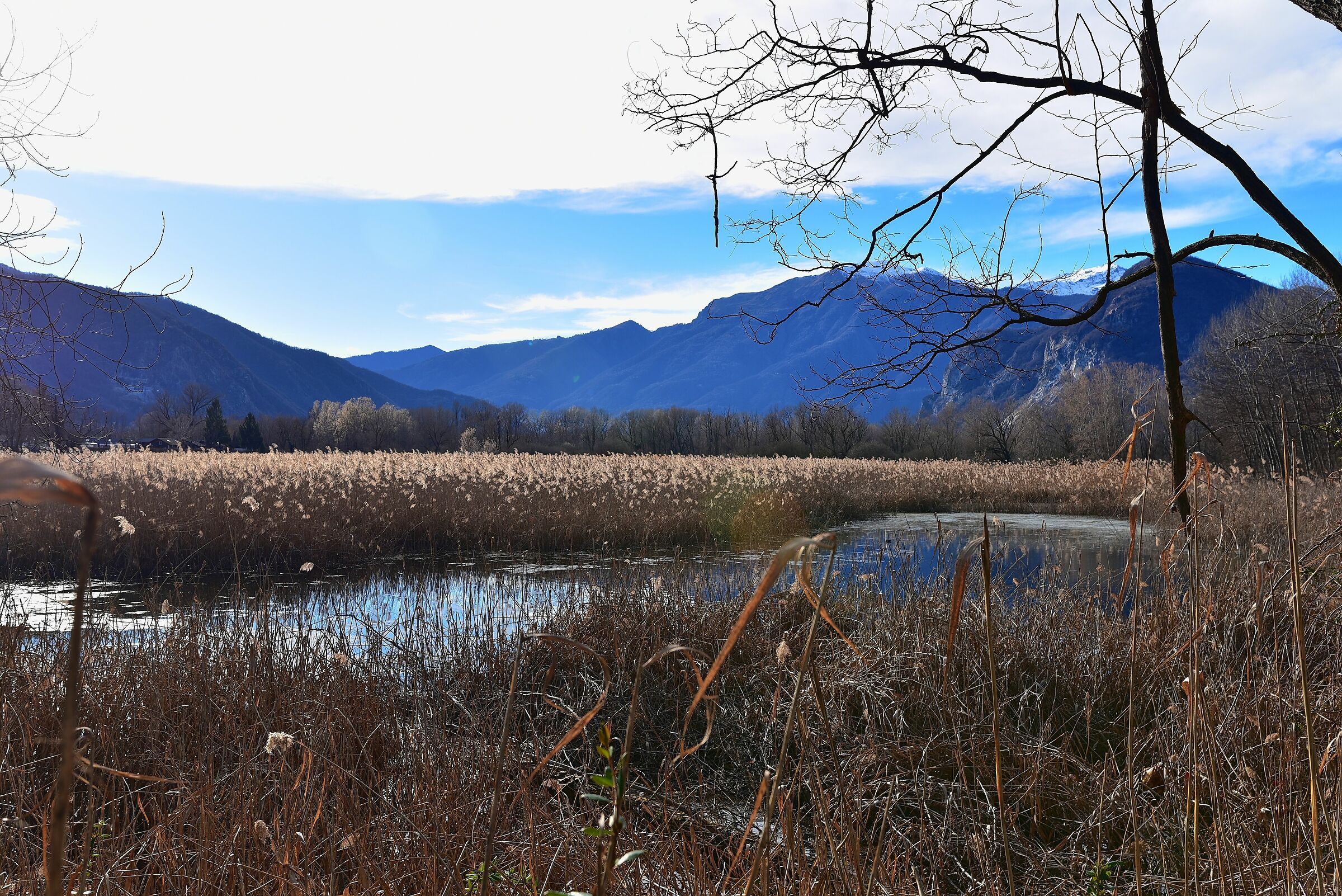 Fondo Toce Nature Reserve