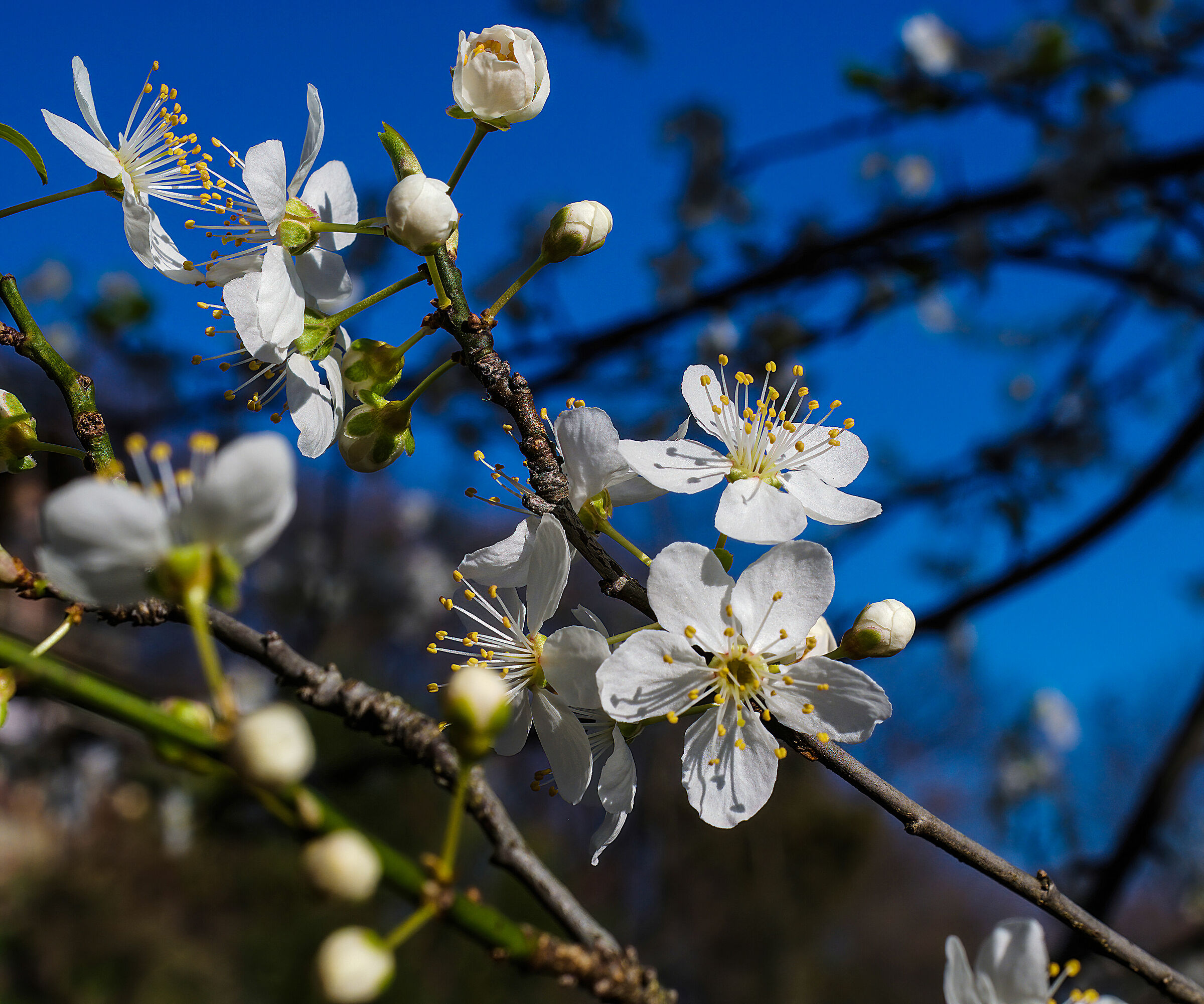 Aria di Primavera...