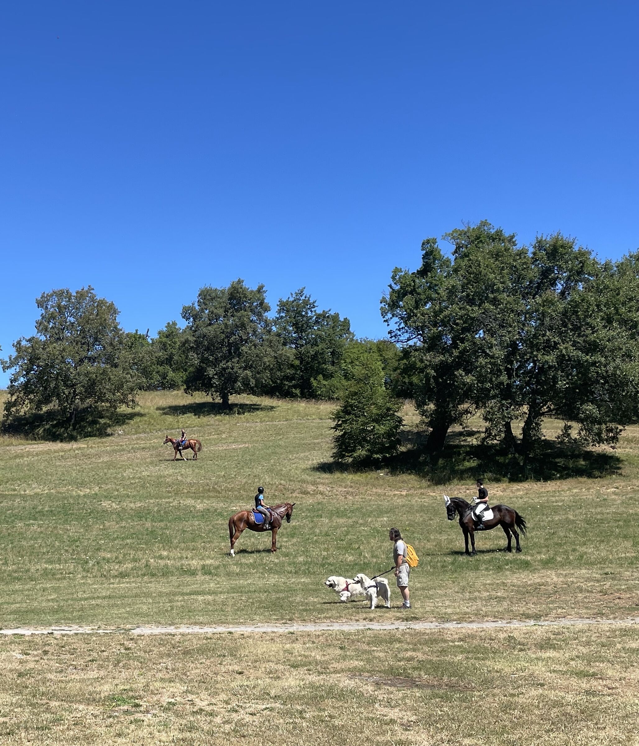 Pieve di San Vitale a Carpineti (re)