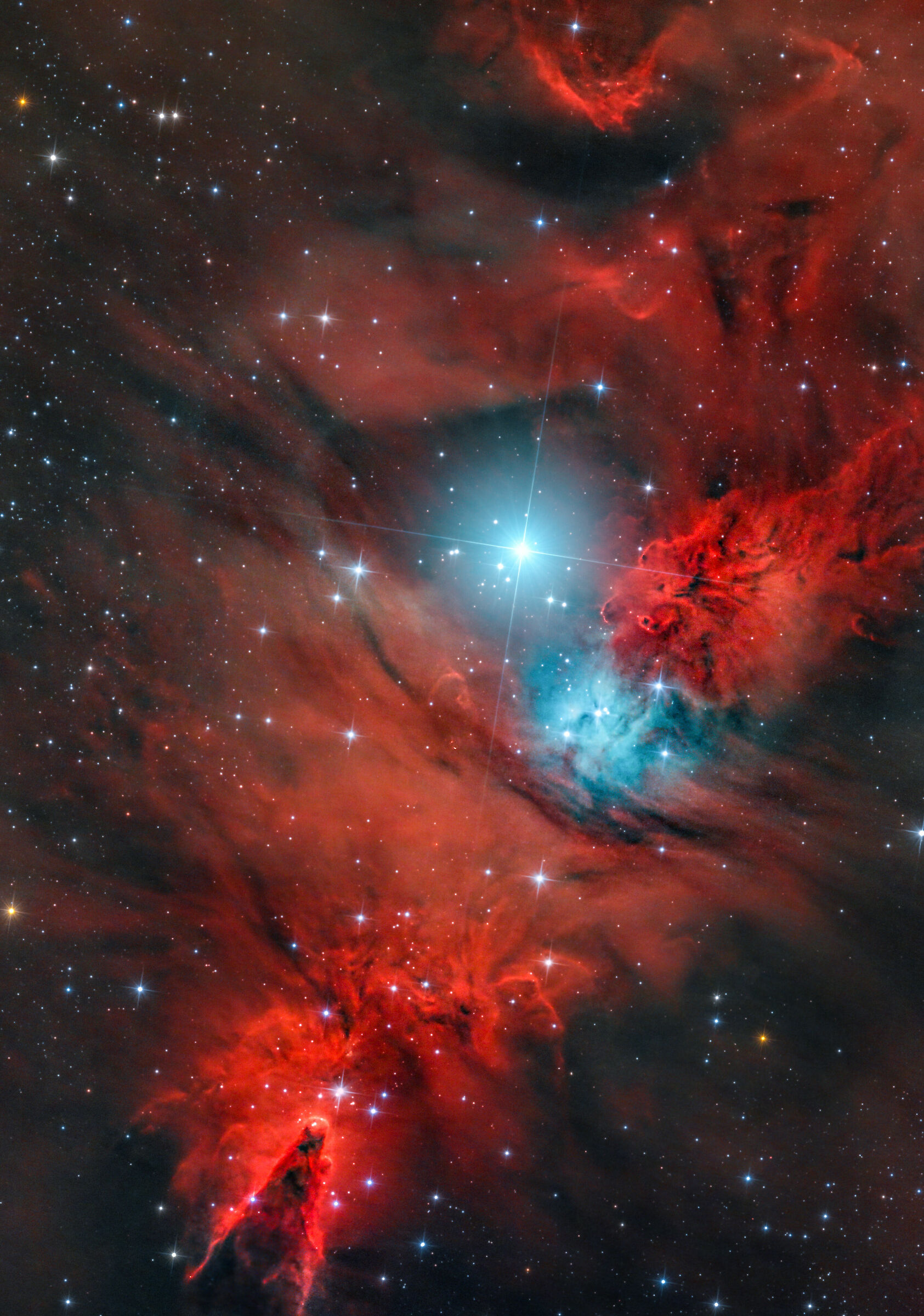 Nebulosa cono e ammasso Albero di Natale