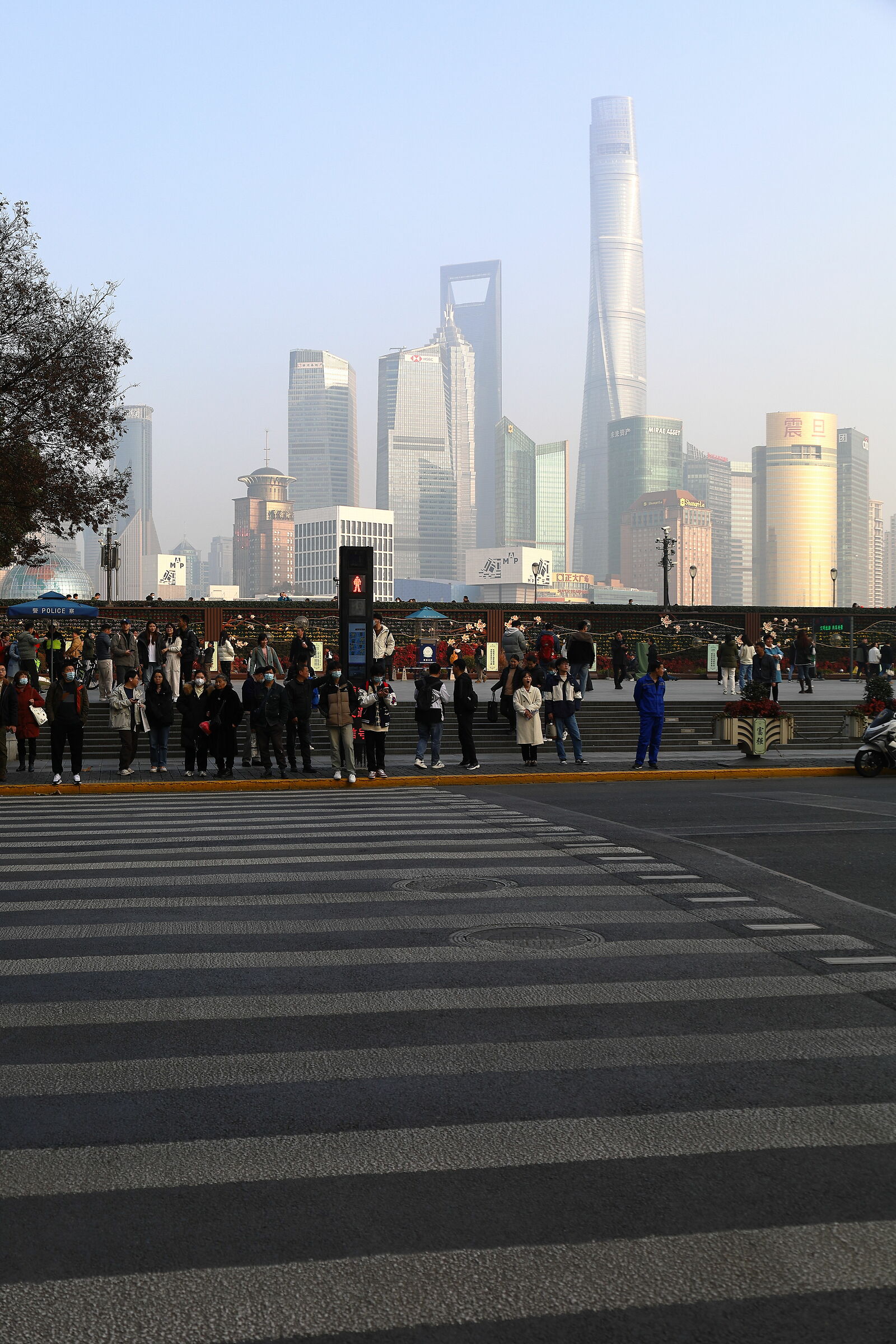 Una striscia di vita