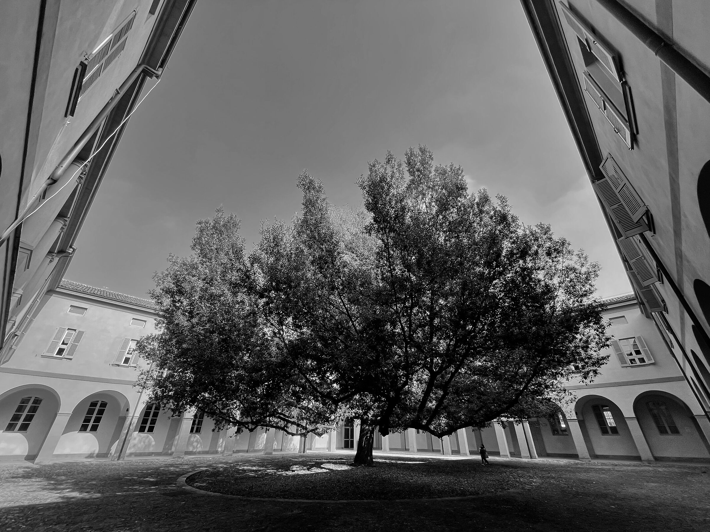 Complesso San Paolo - Modena