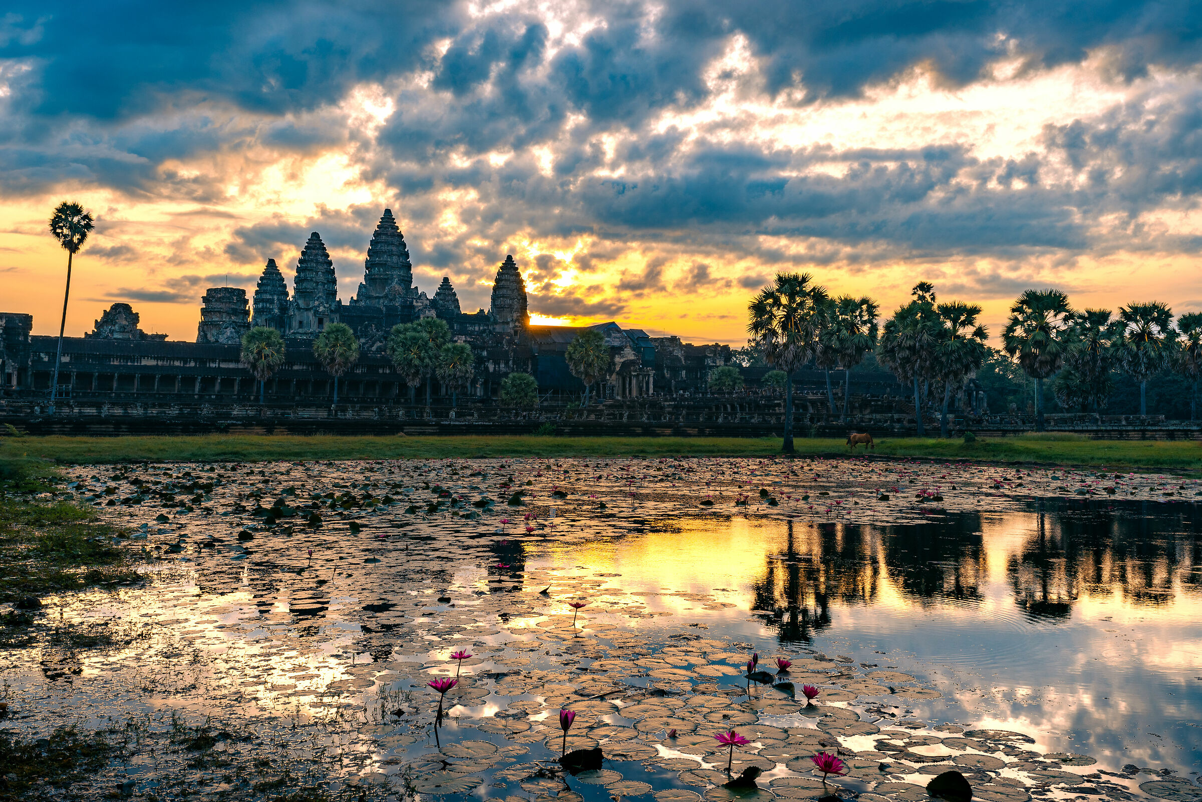 Angkor Wat
