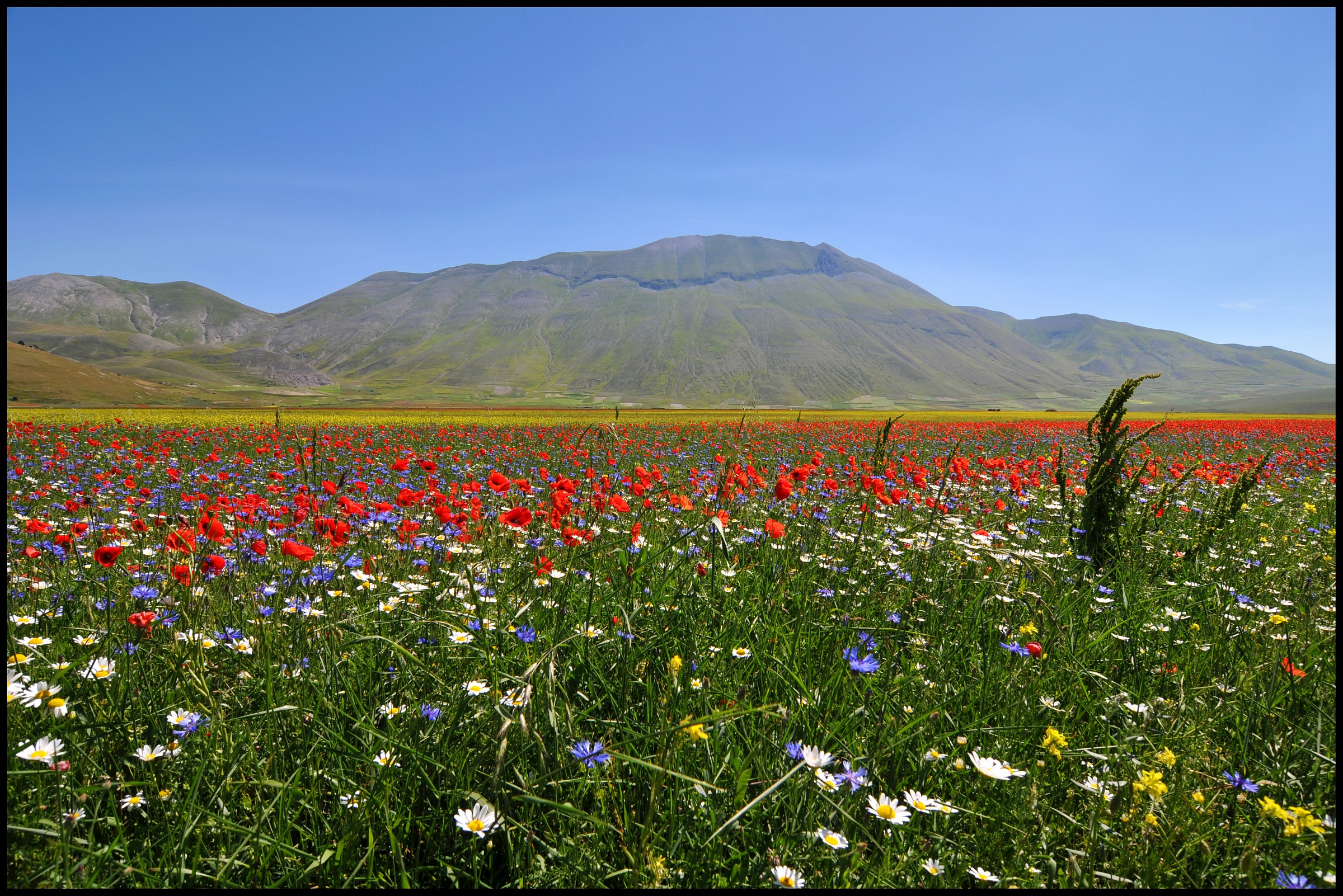 Castelluccio
