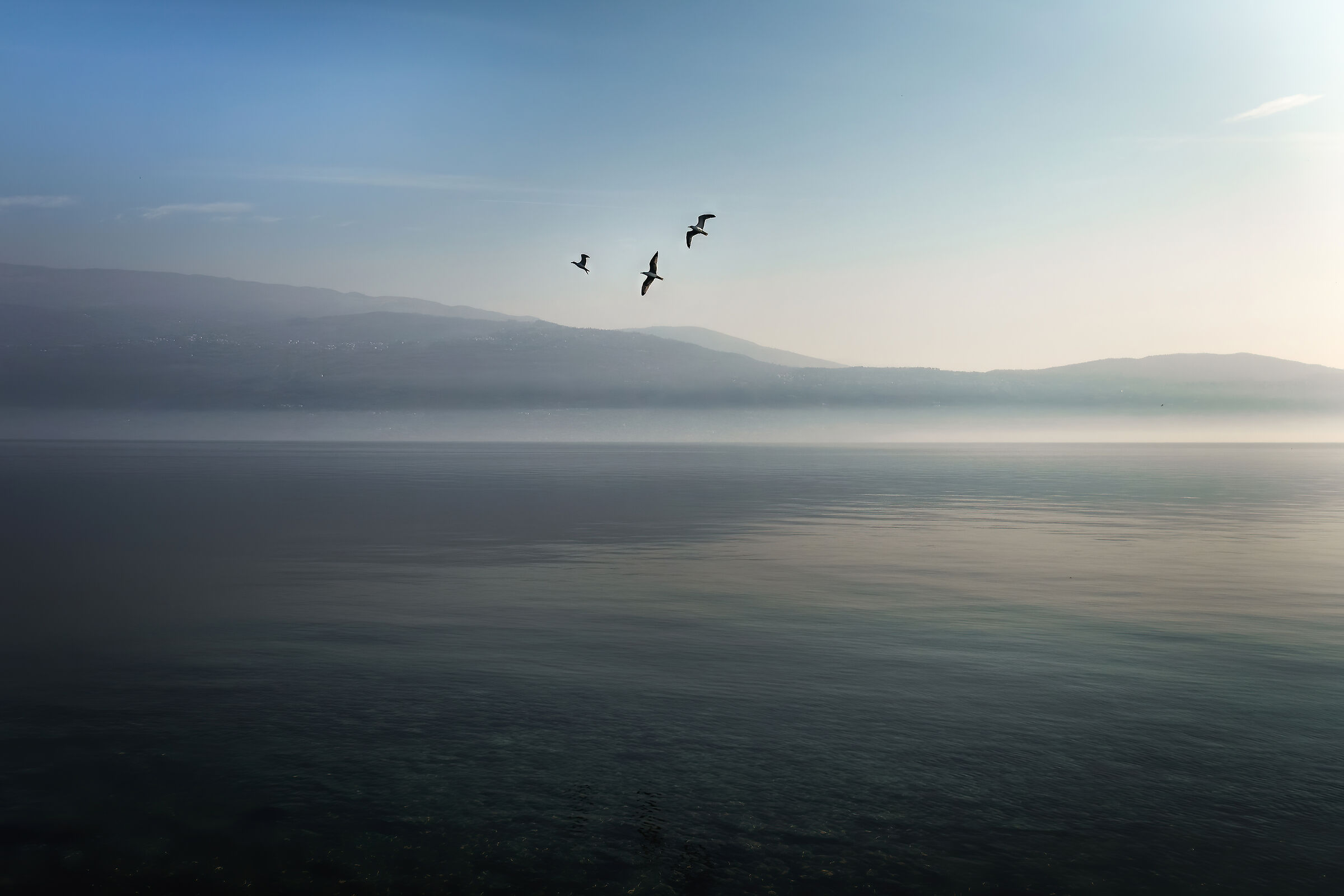 The Flight