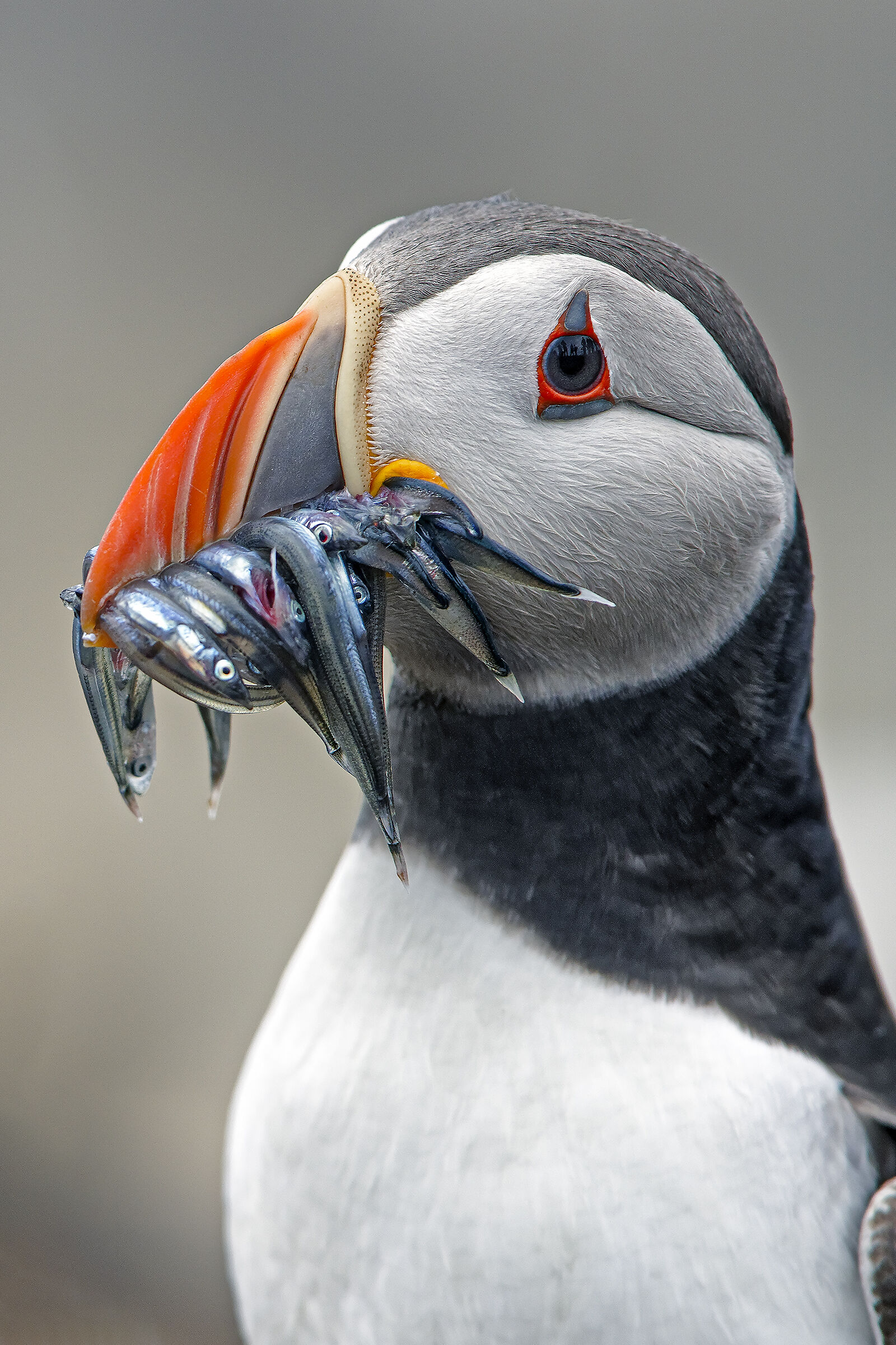 il riflesso nell'occhio