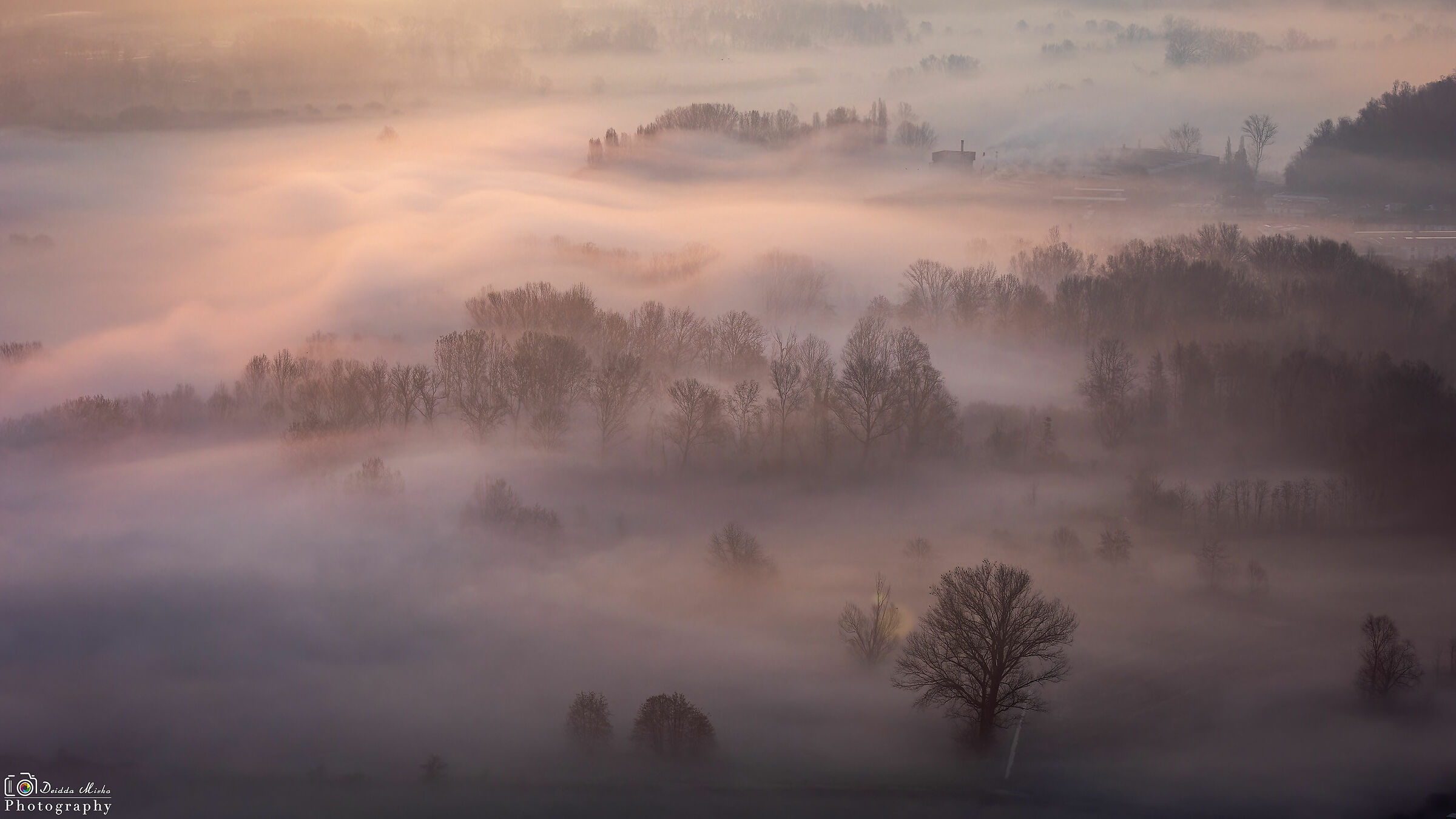 I colori dell'alba nella nebbia